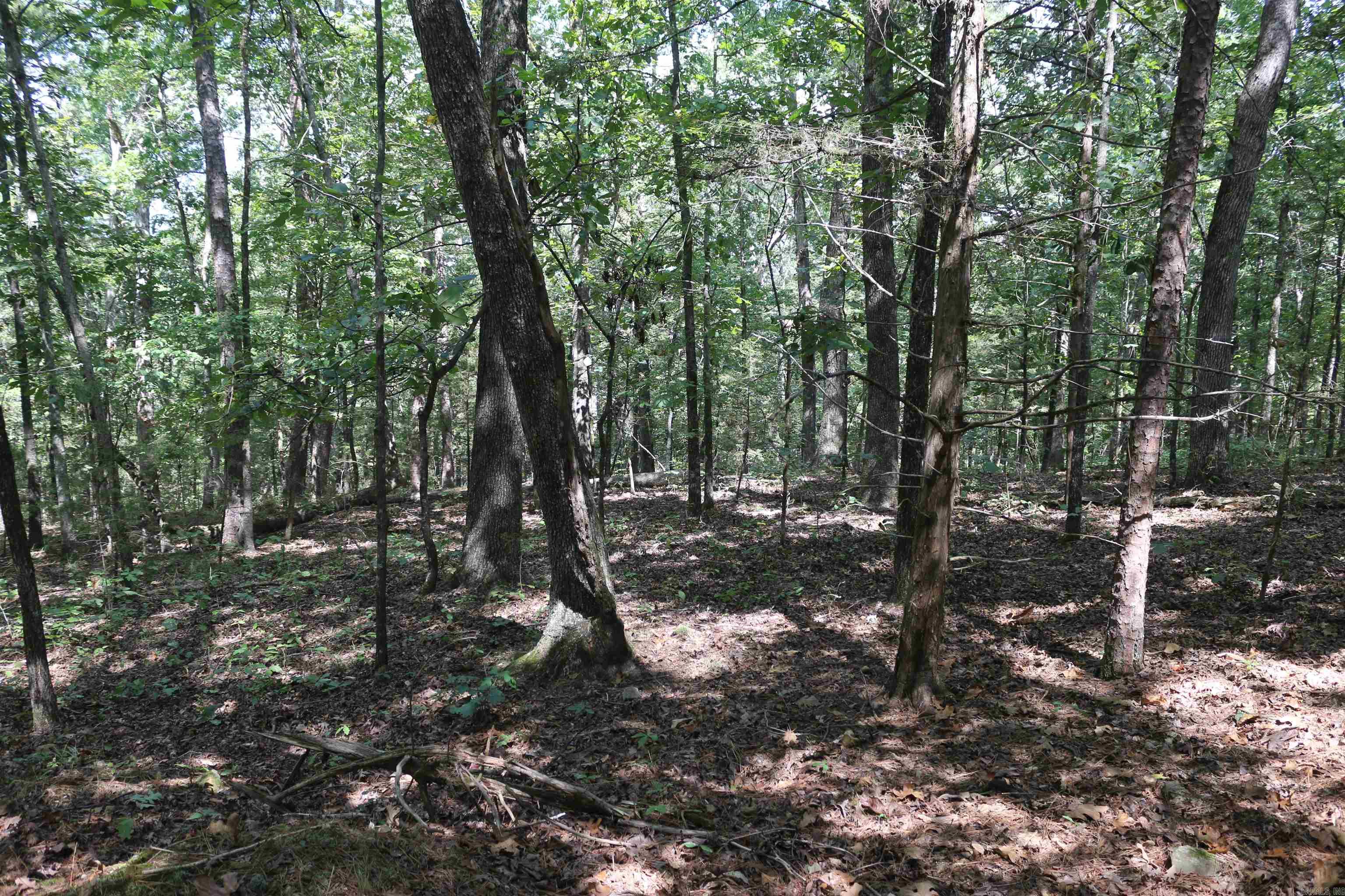 000 Rolling Oaks Lane Property Photo 37