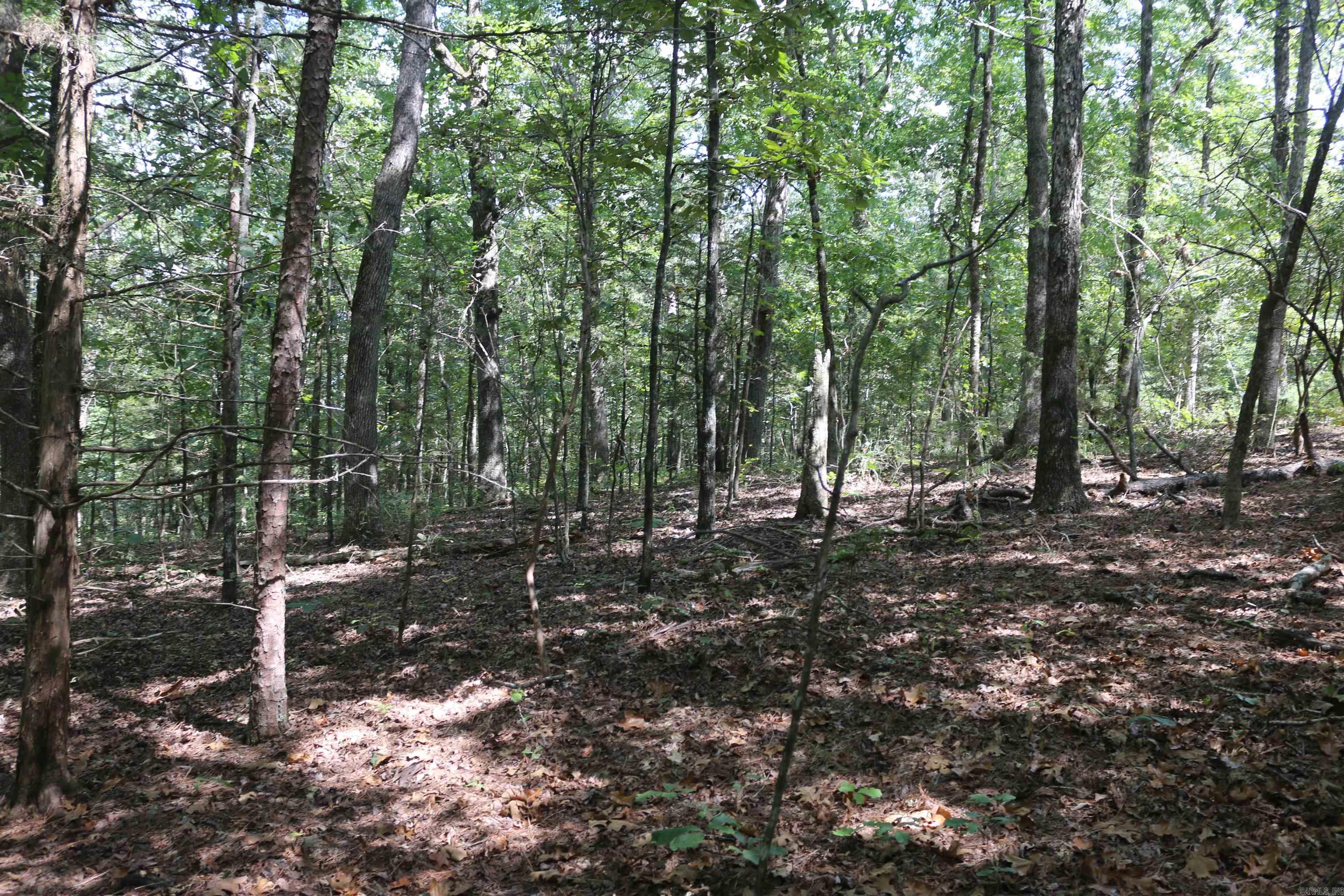 000 Rolling Oaks Lane Property Photo 38
