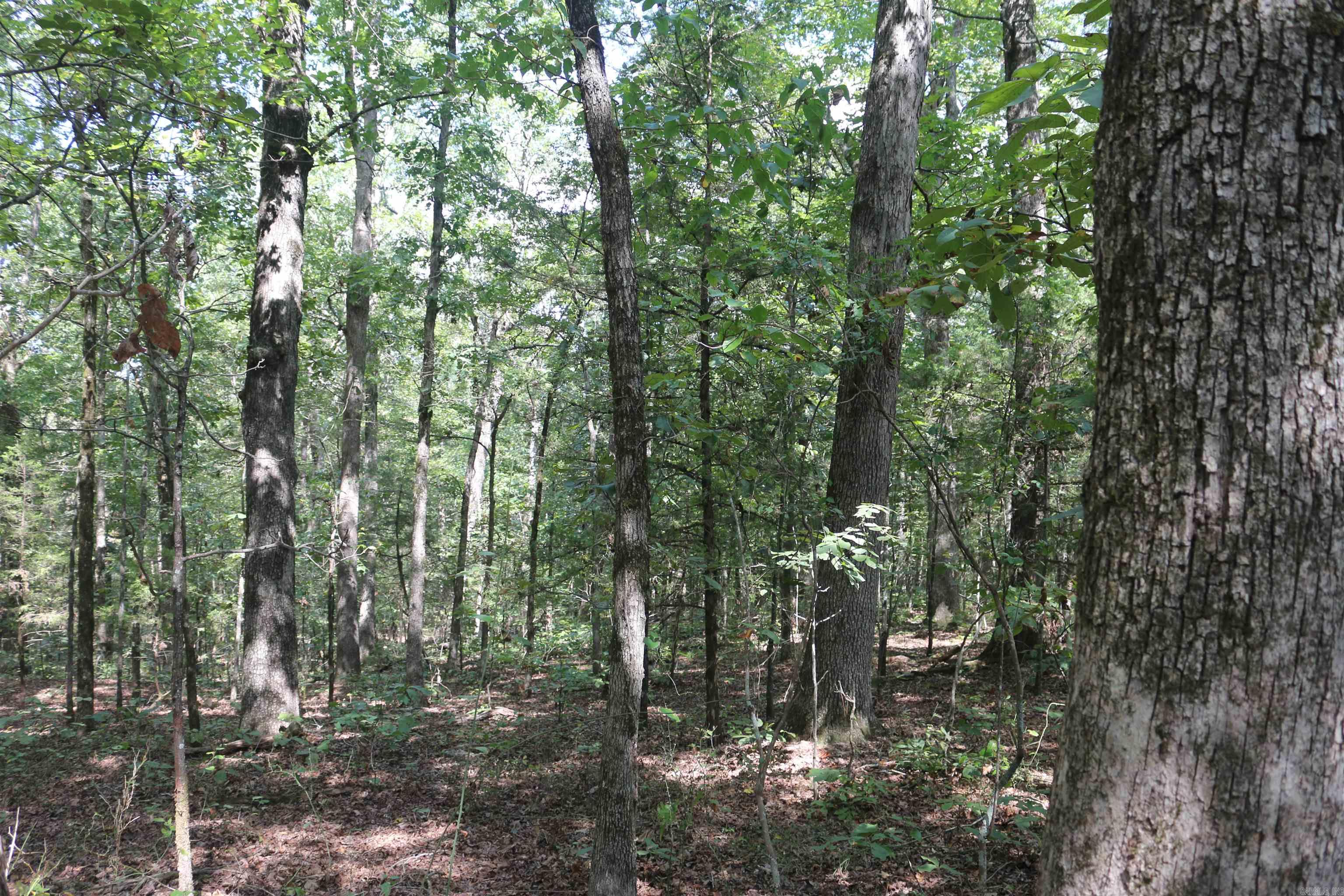 000 Rolling Oaks Lane Property Photo 39