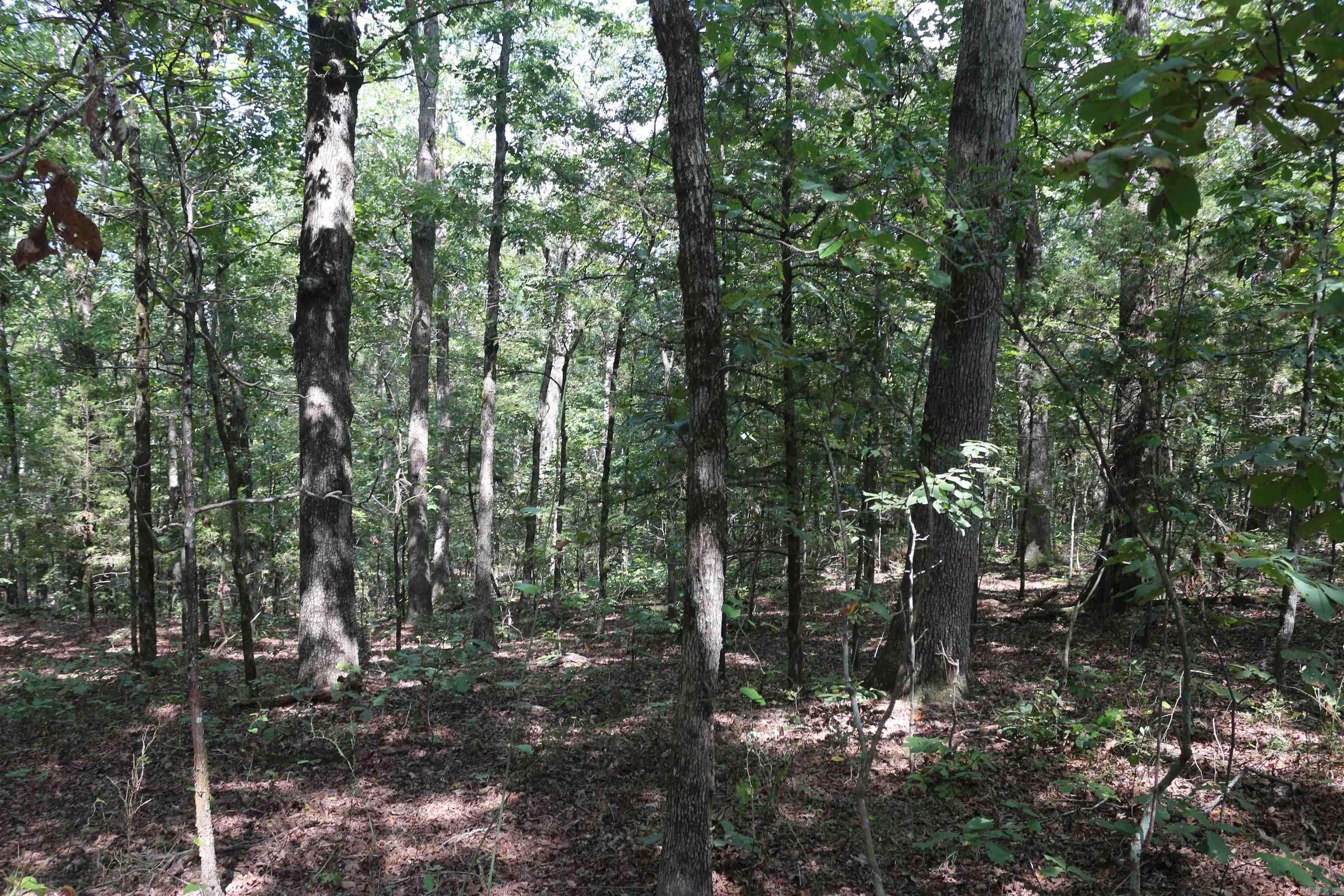 000 Rolling Oaks Lane Property Photo 40