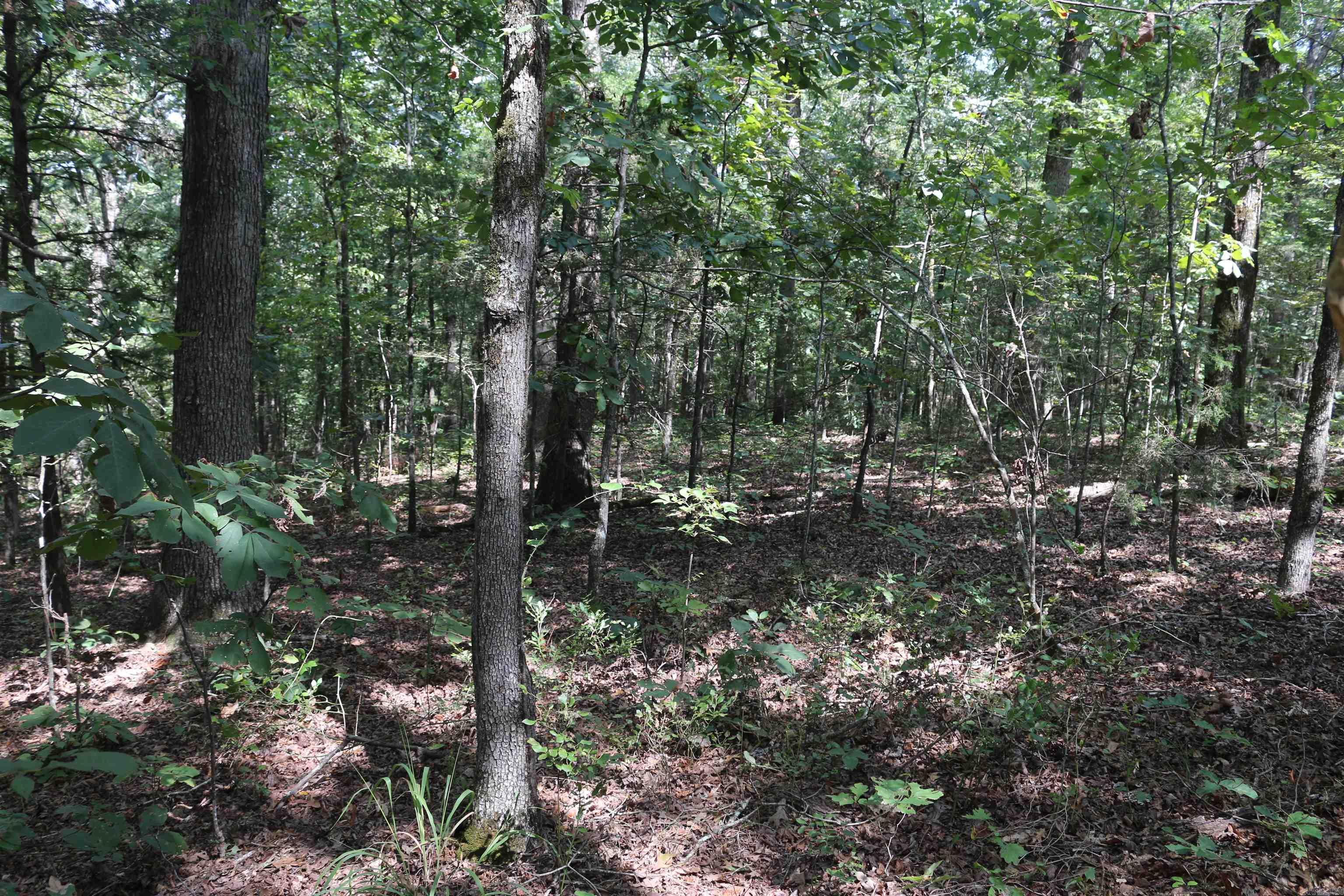 000 Rolling Oaks Lane Property Photo 41