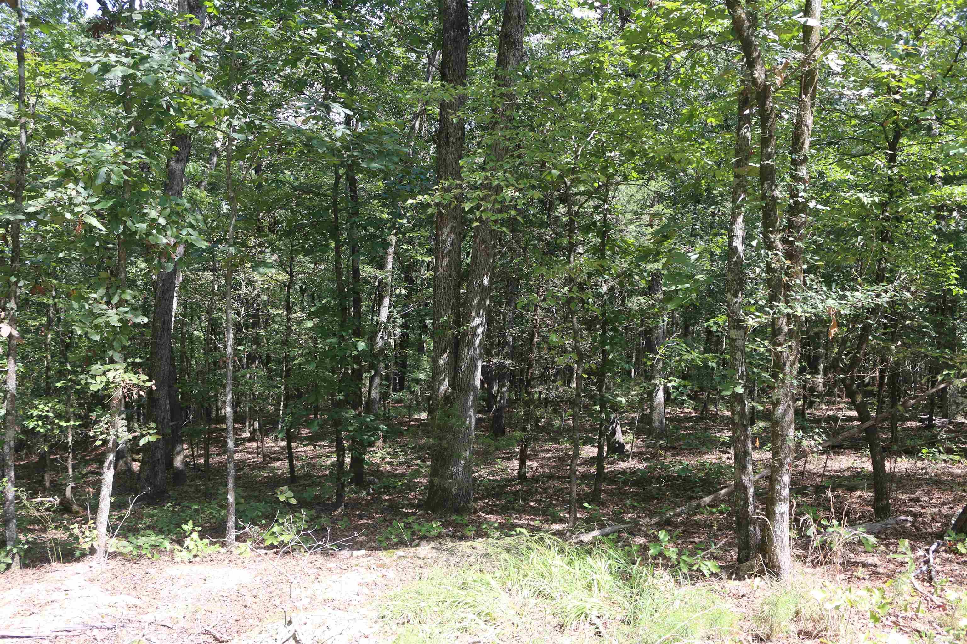 000 Rolling Oaks Lane Property Photo 42