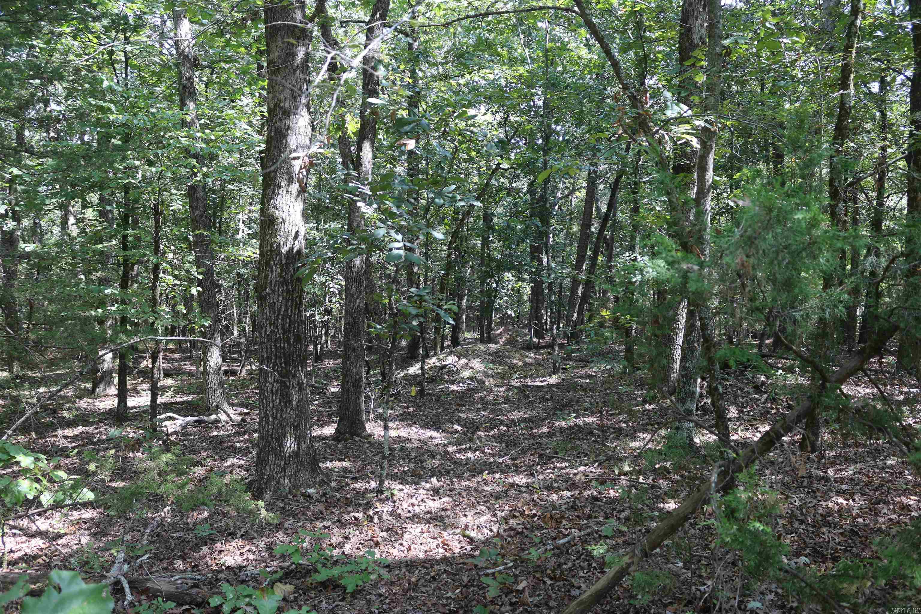 000 Rolling Oaks Lane Property Photo 43