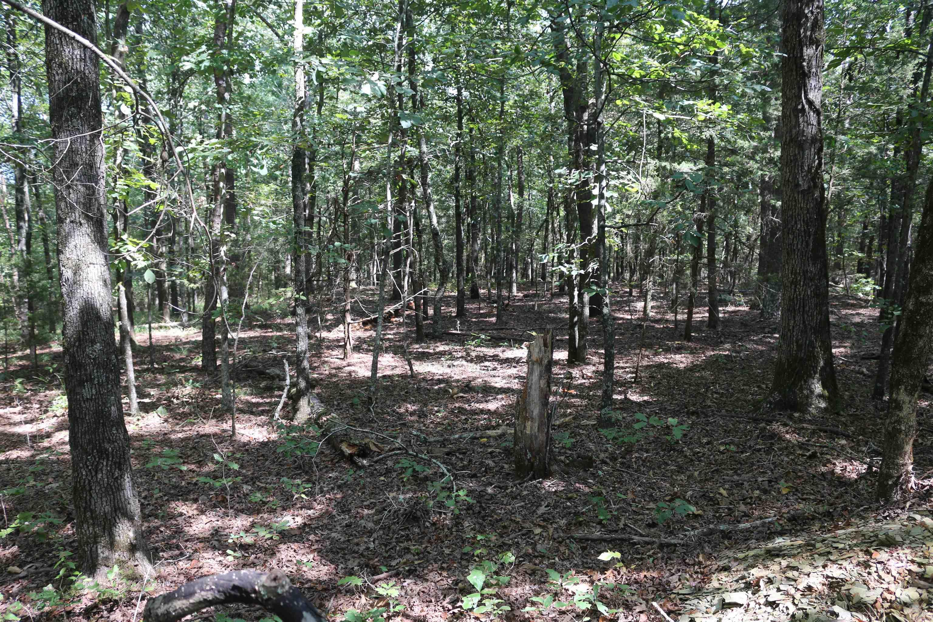 000 Rolling Oaks Lane Property Photo 44