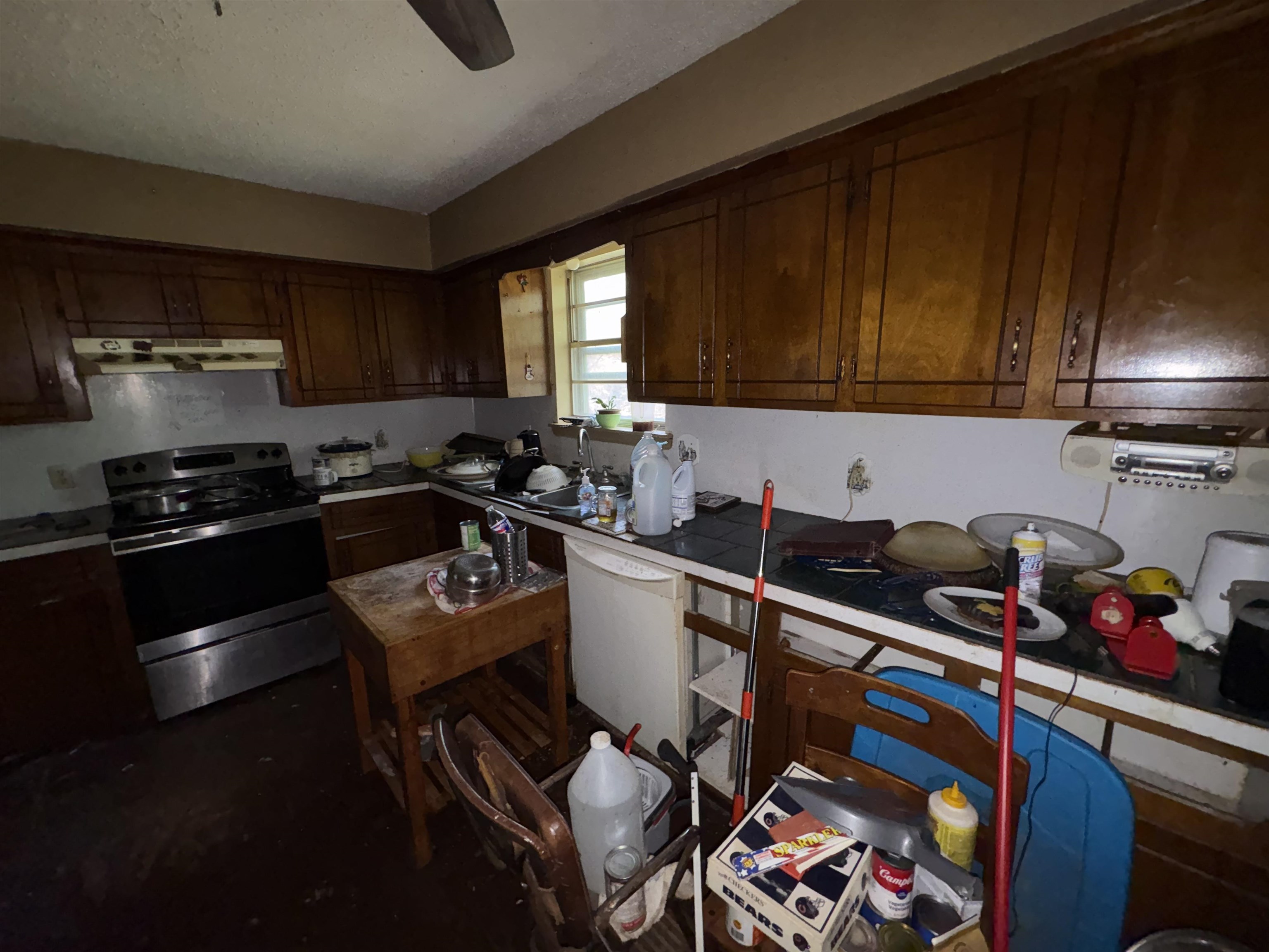 104 Cameo Lane Property Photo 6