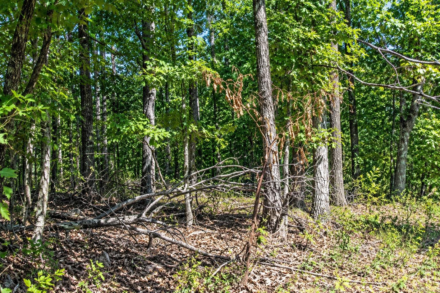Lot 21 Cooper Point Subdivision Property Photo 1