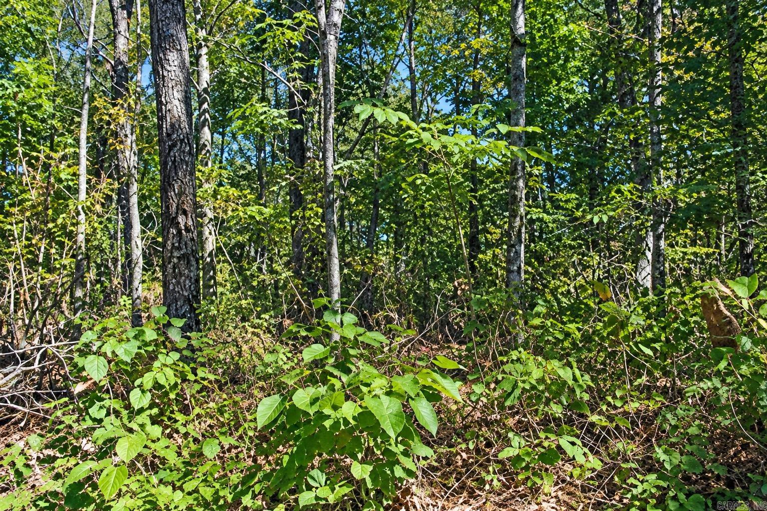 Lot 21 Cooper Point Subdivision Property Photo 2