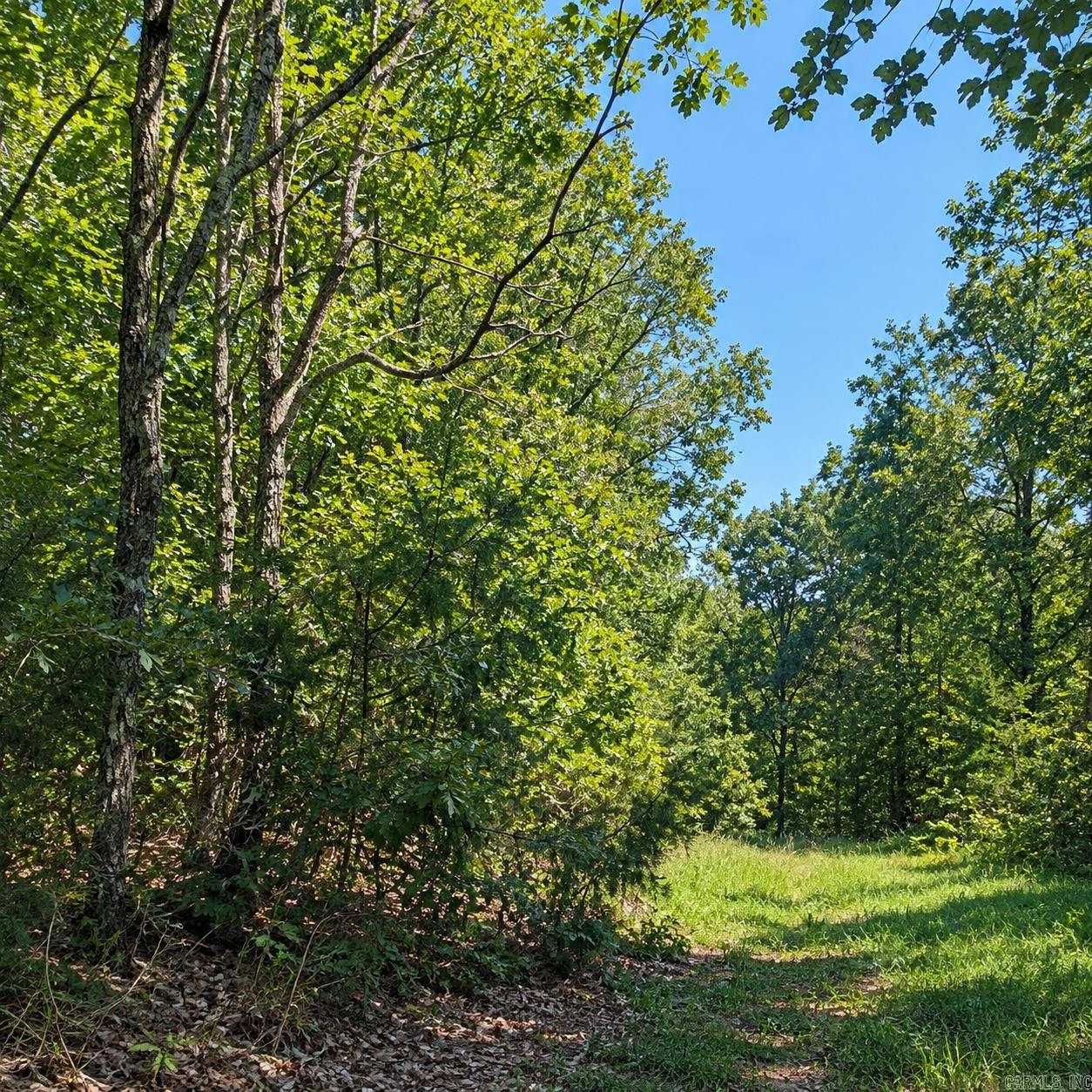 Lot 21 Cooper Point Subdivision Property Photo 4
