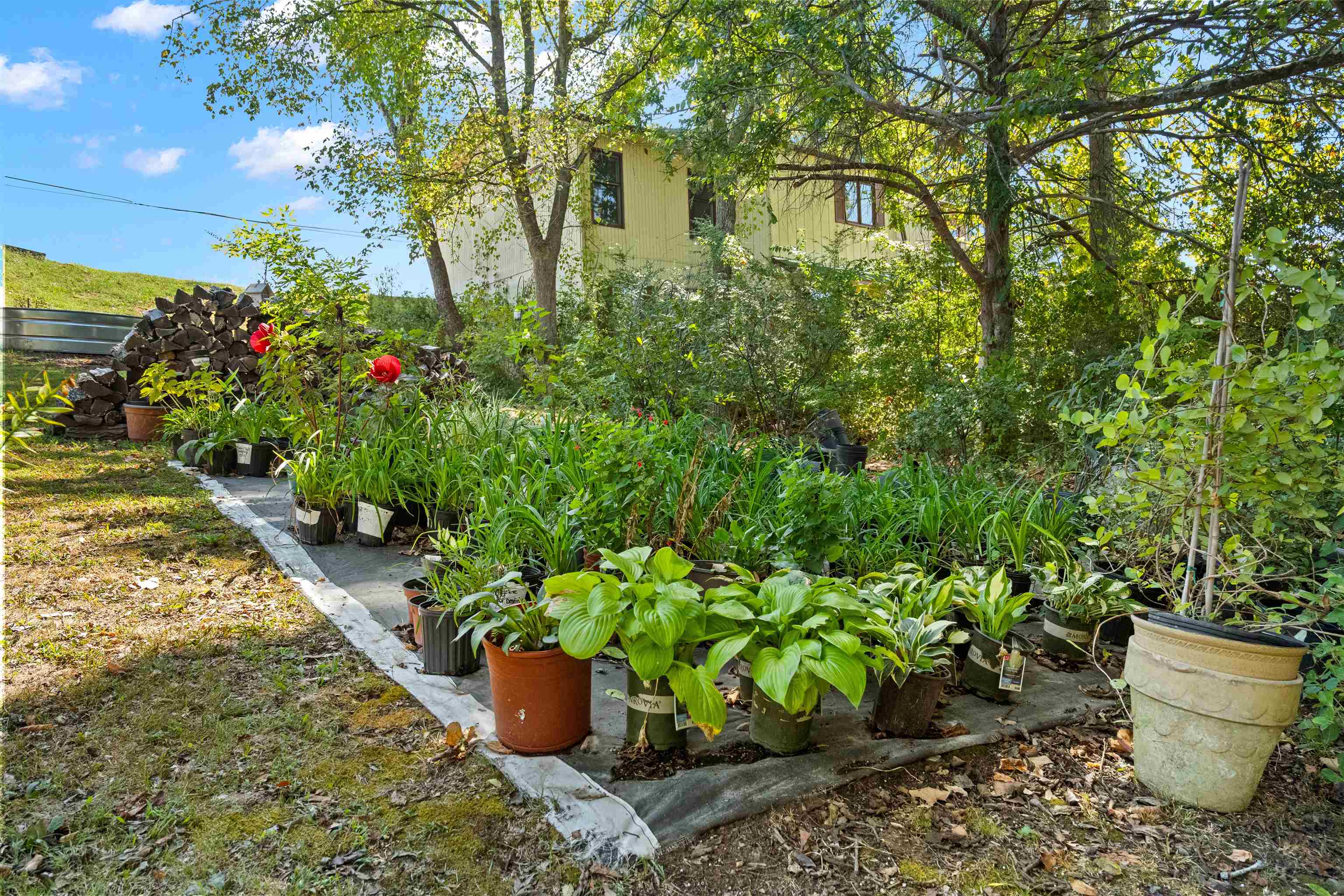 3618 Highway 62-412 Property Photo 40