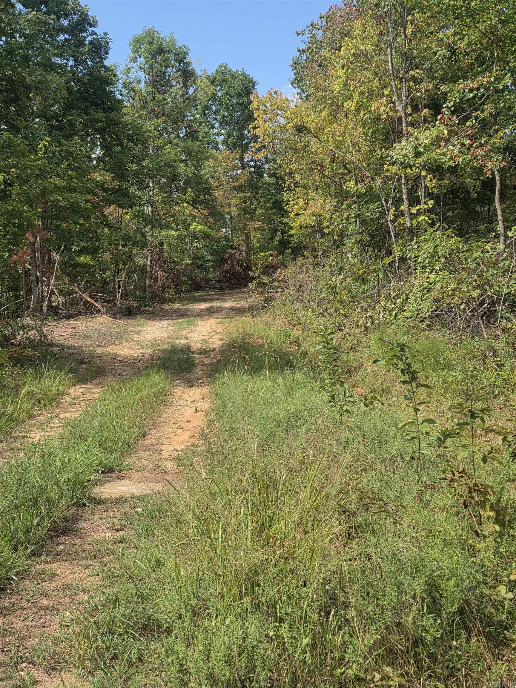 2561 Gutter Rd Property Photo 11