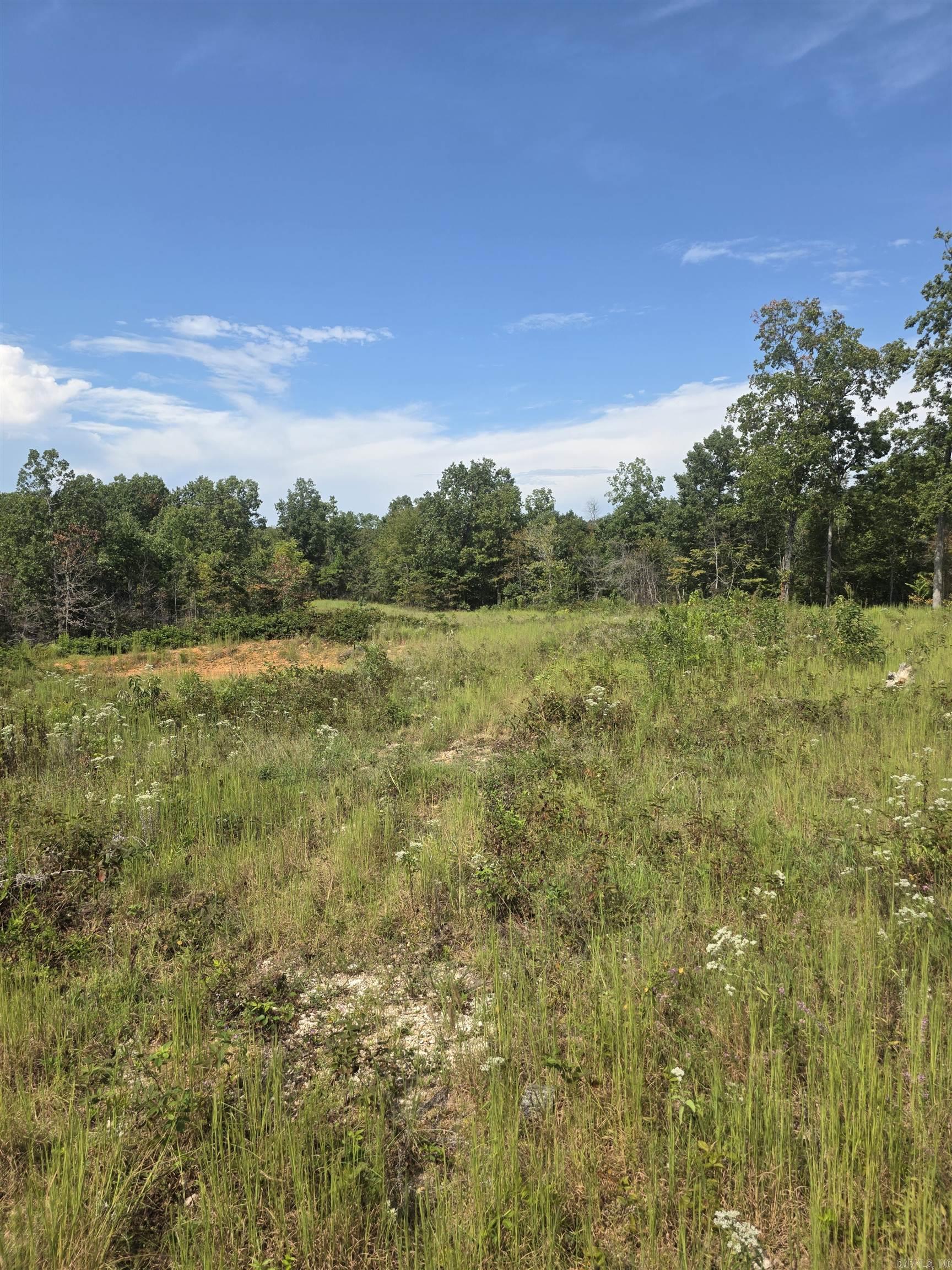 2561 Gutter Rd Property Photo 14