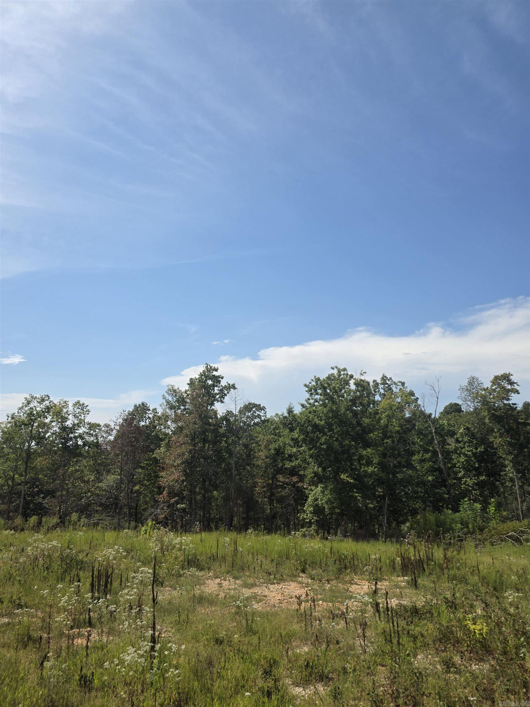 2561 Gutter Rd Property Photo 15