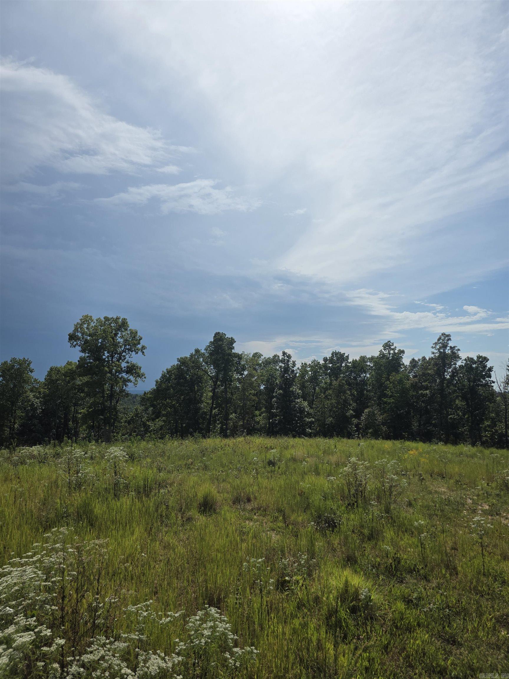 2561 Gutter Rd Property Photo 16