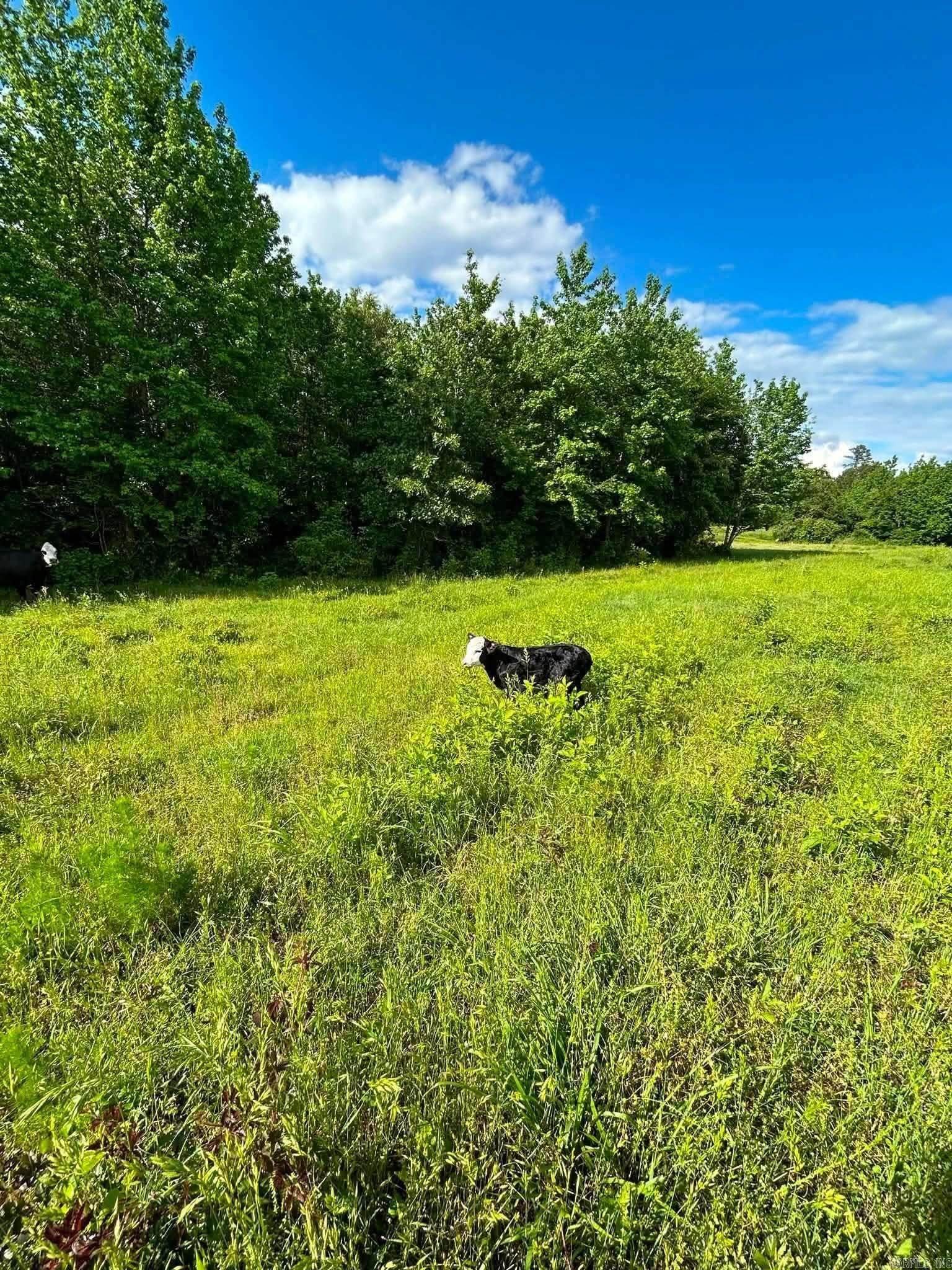85 Acres Hwy 182 Property Photo 2