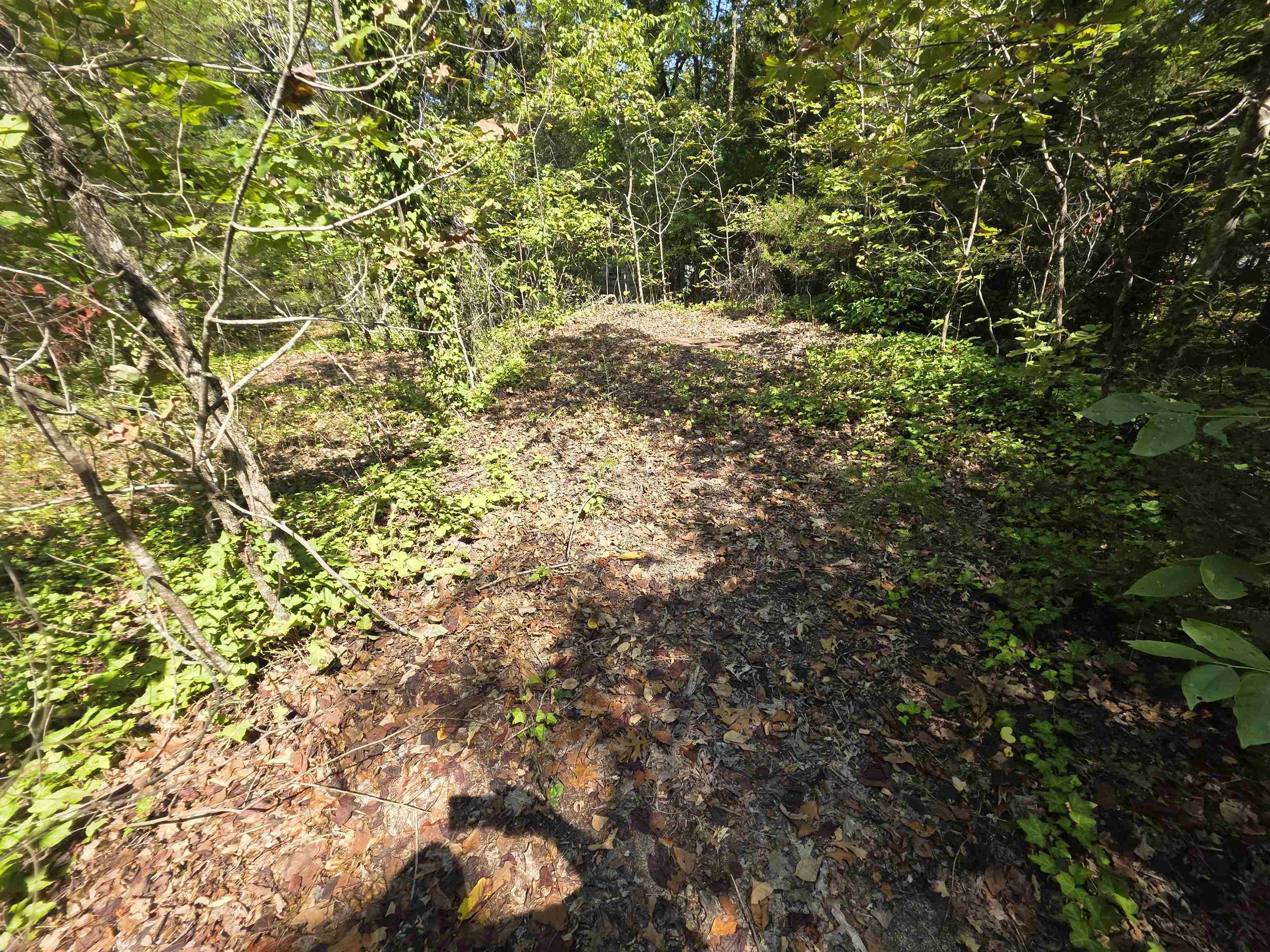 L-10 B-2 Summit Ridge Drive