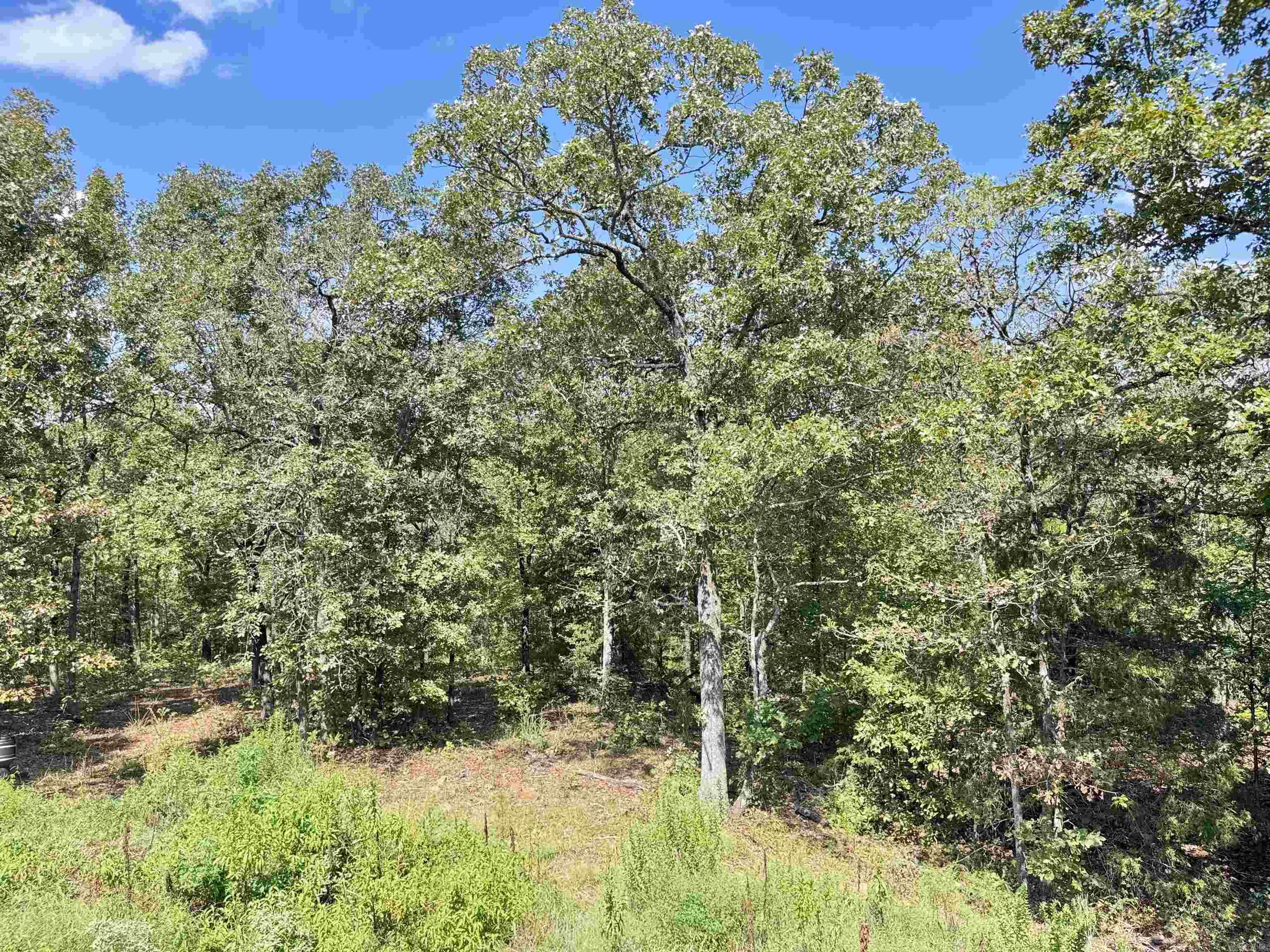 1421 E Justice Road Property Photo 43
