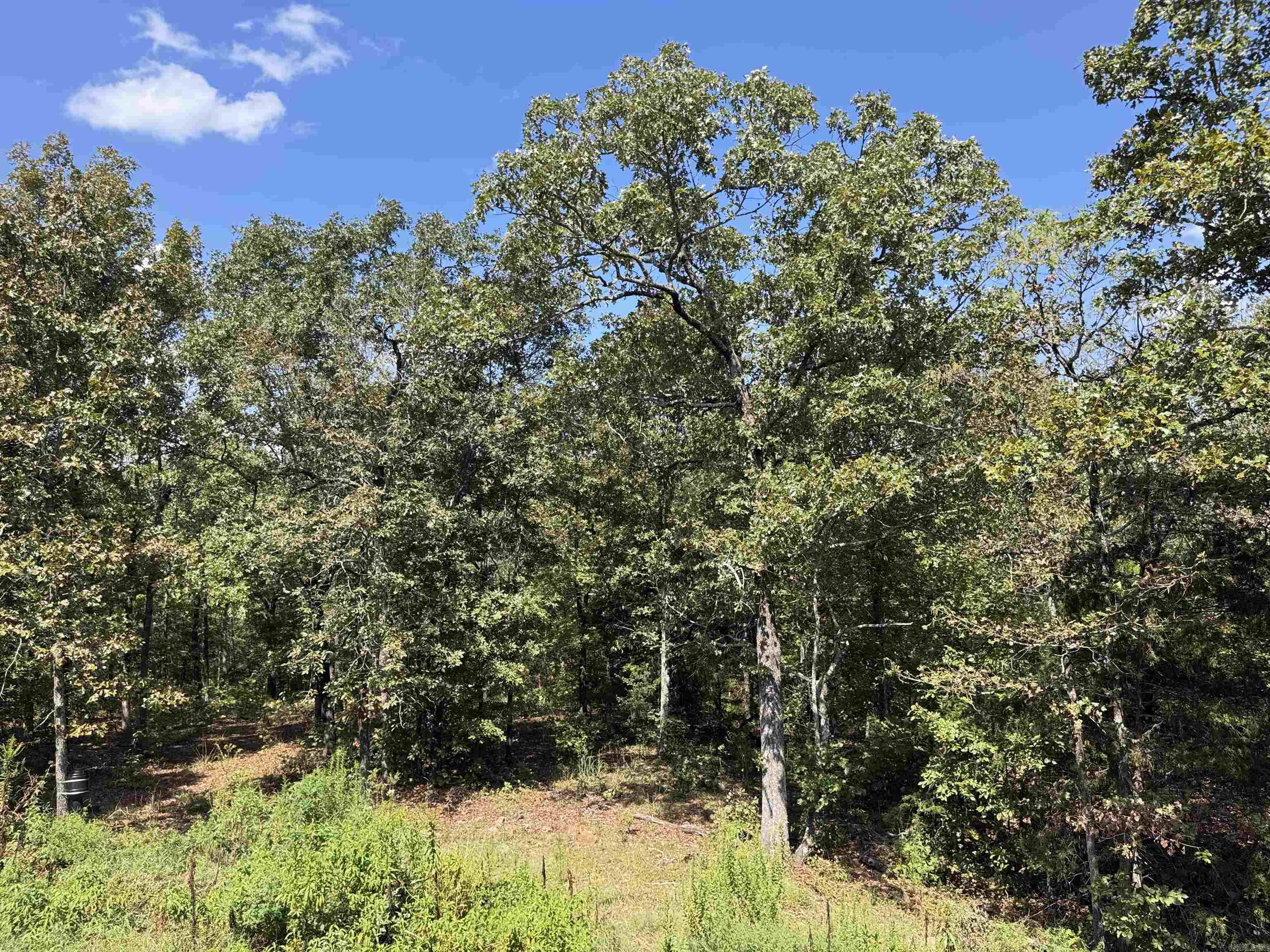 1421 E Justice Road Property Photo 44