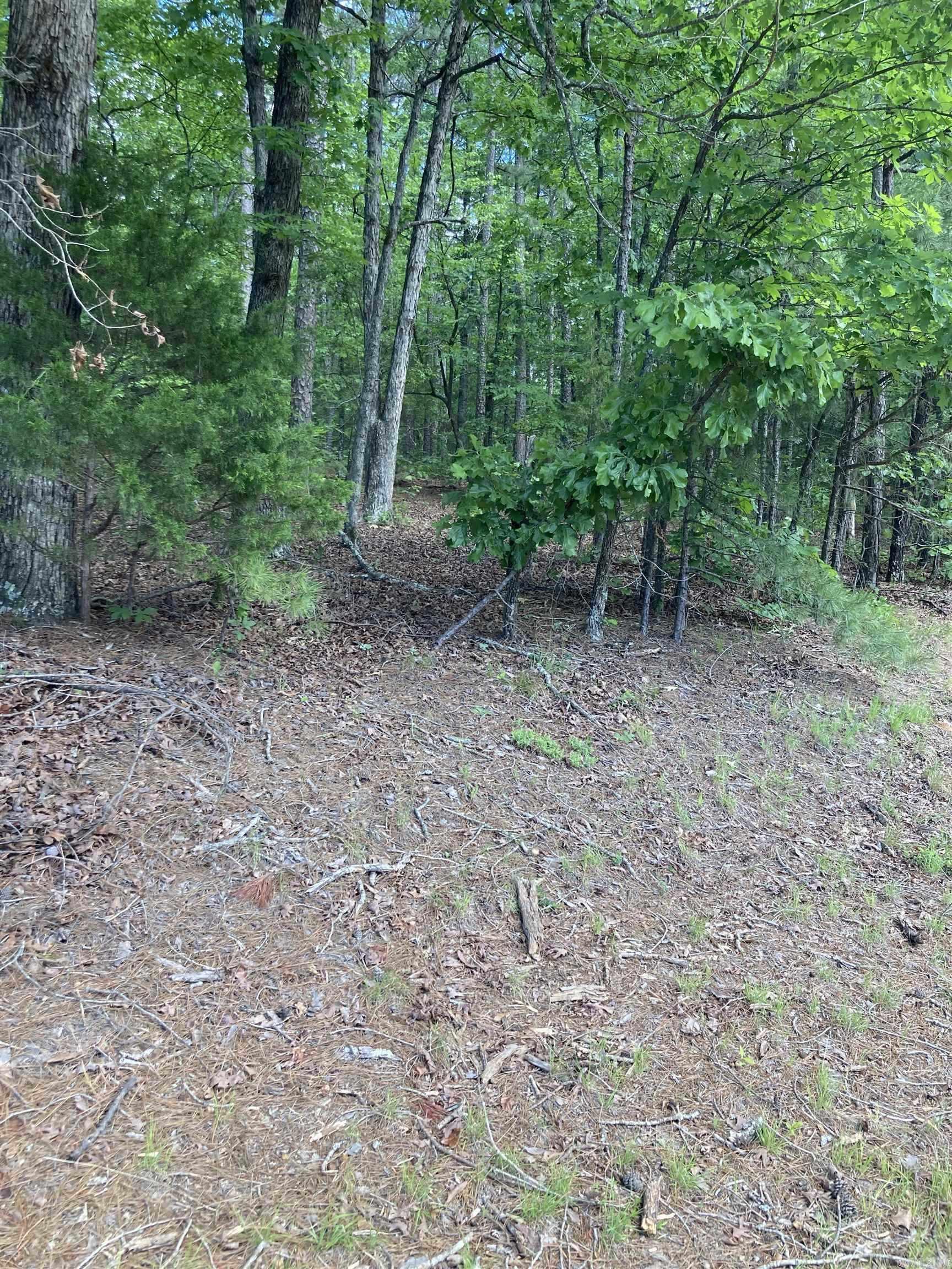 000 Dave Creek Pkwy Property Photo 1