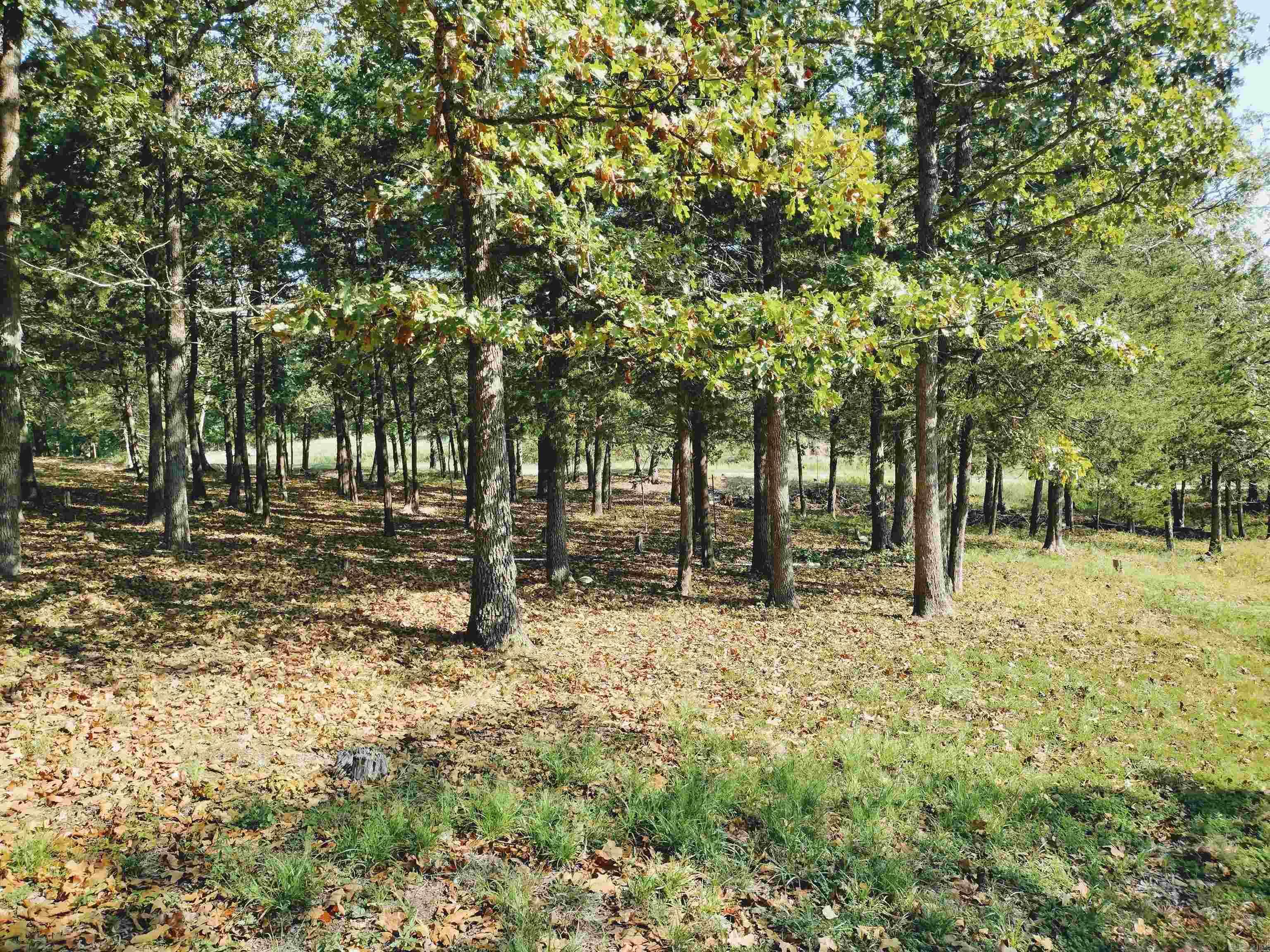 144 Cow Mountain Rd Property Photo 27