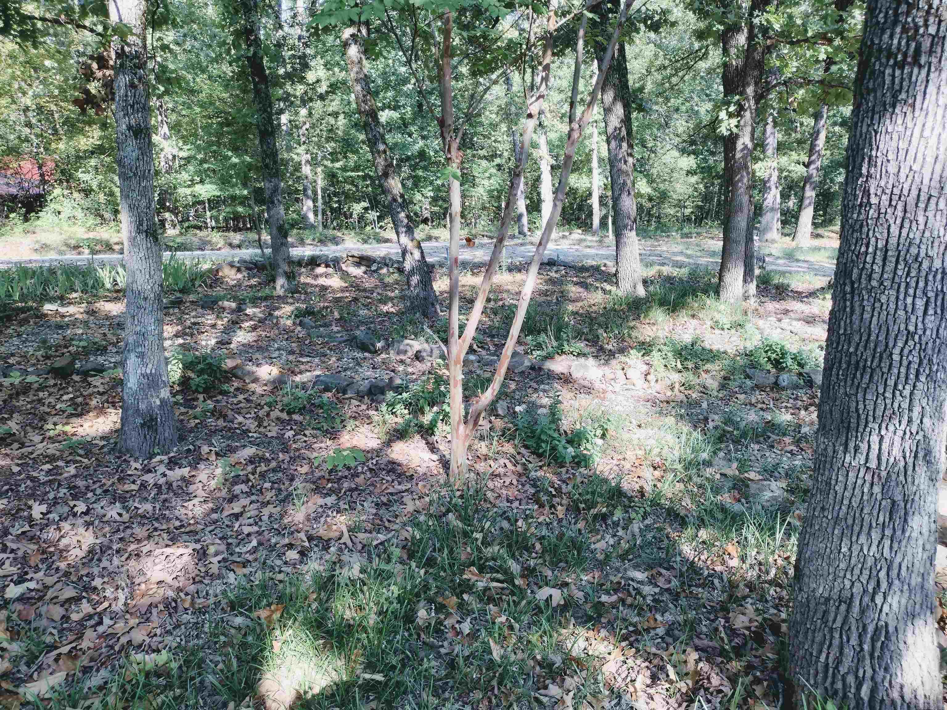 144 Cow Mountain Rd Property Photo 28