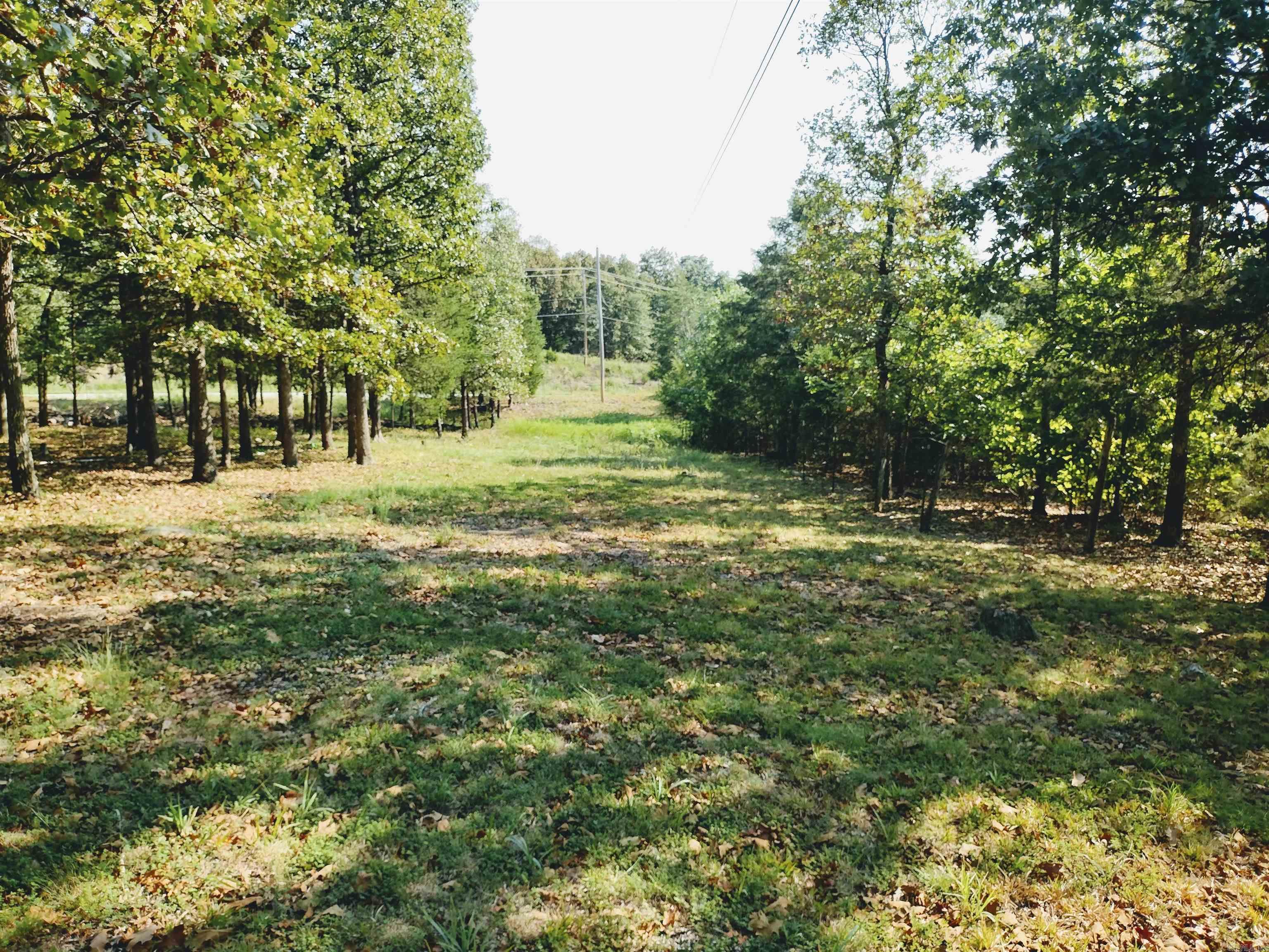 144 Cow Mountain Rd Property Photo 29