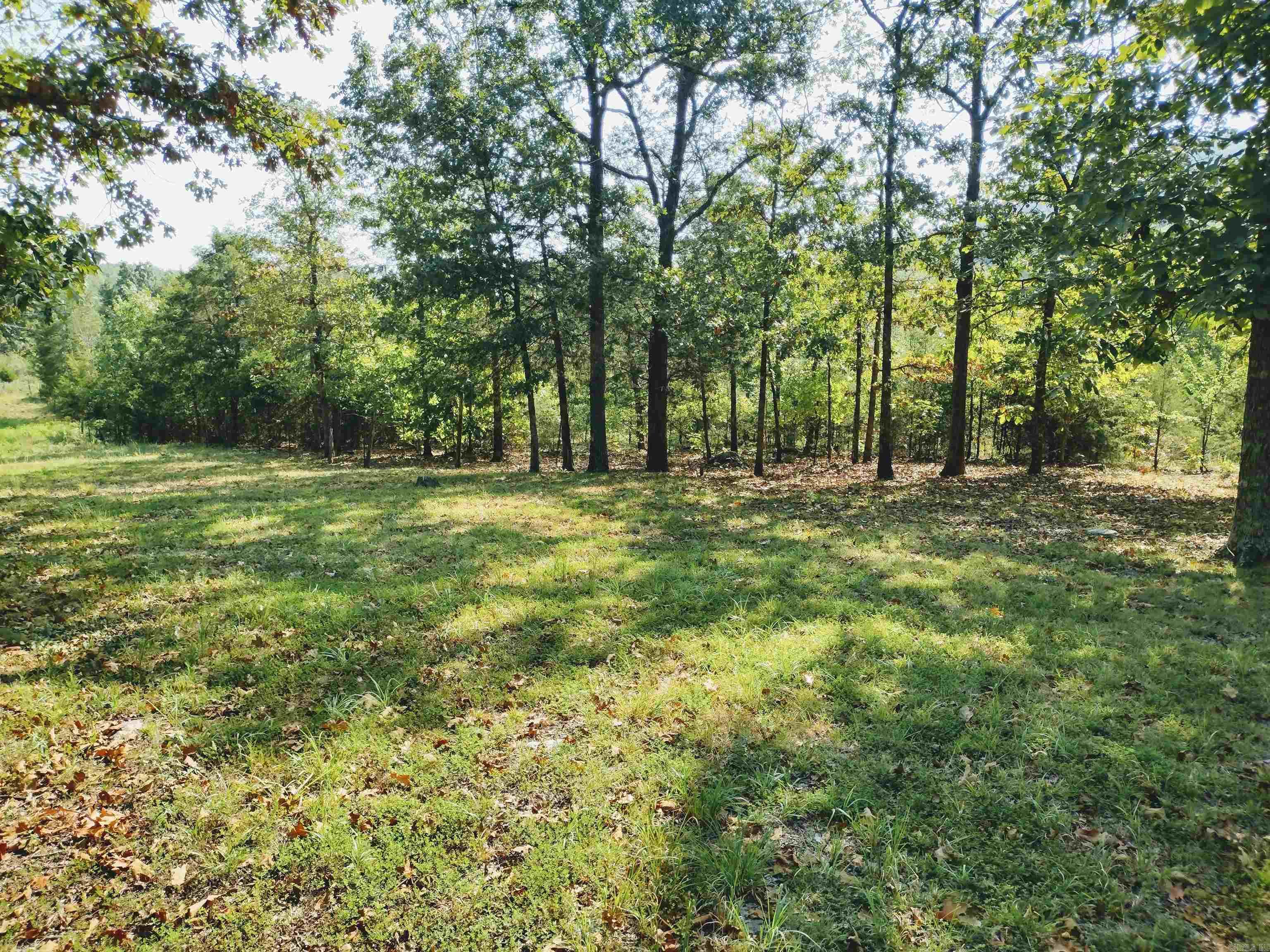 144 Cow Mountain Rd Property Photo 30