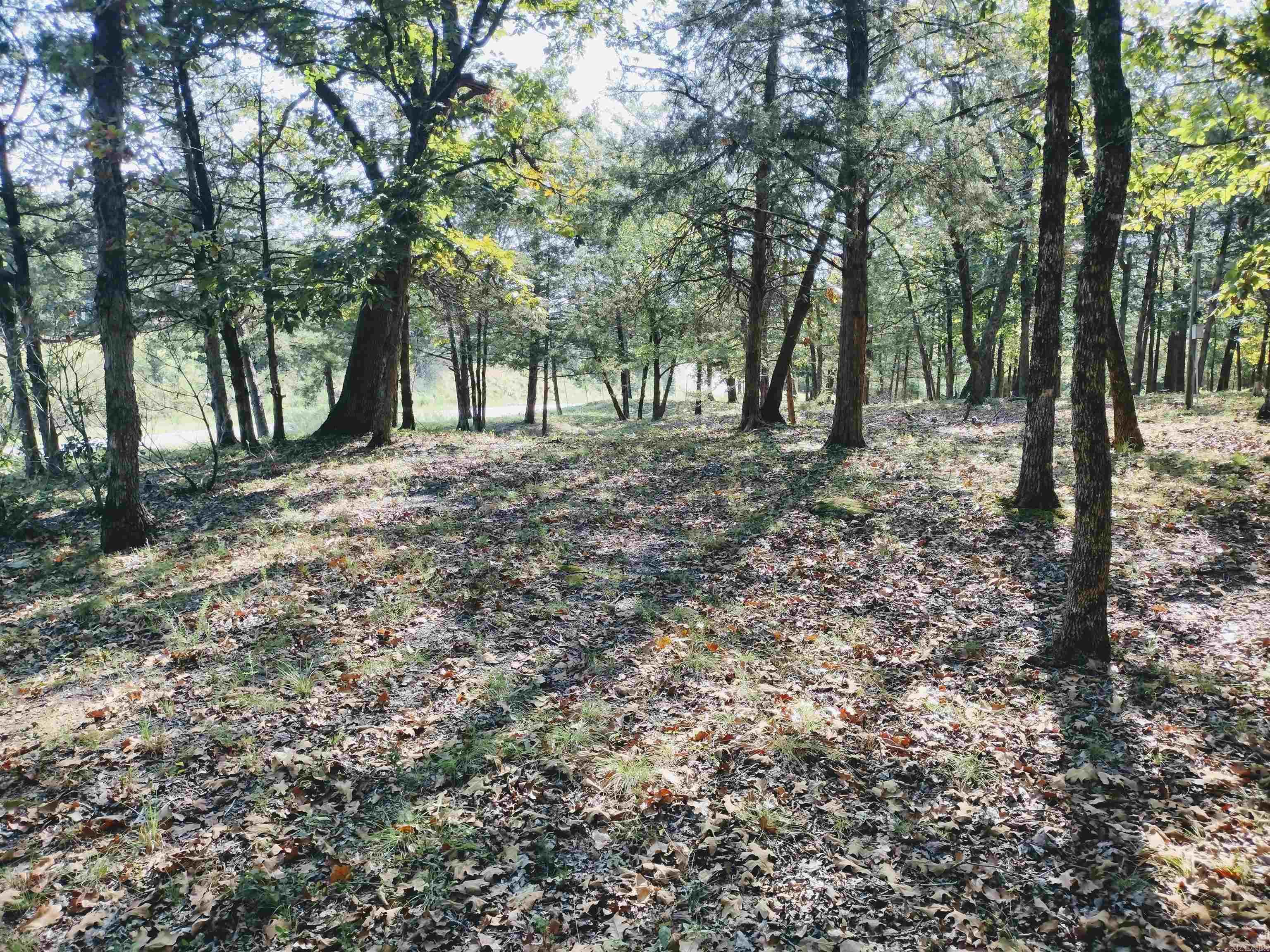 144 Cow Mountain Rd Property Photo 36