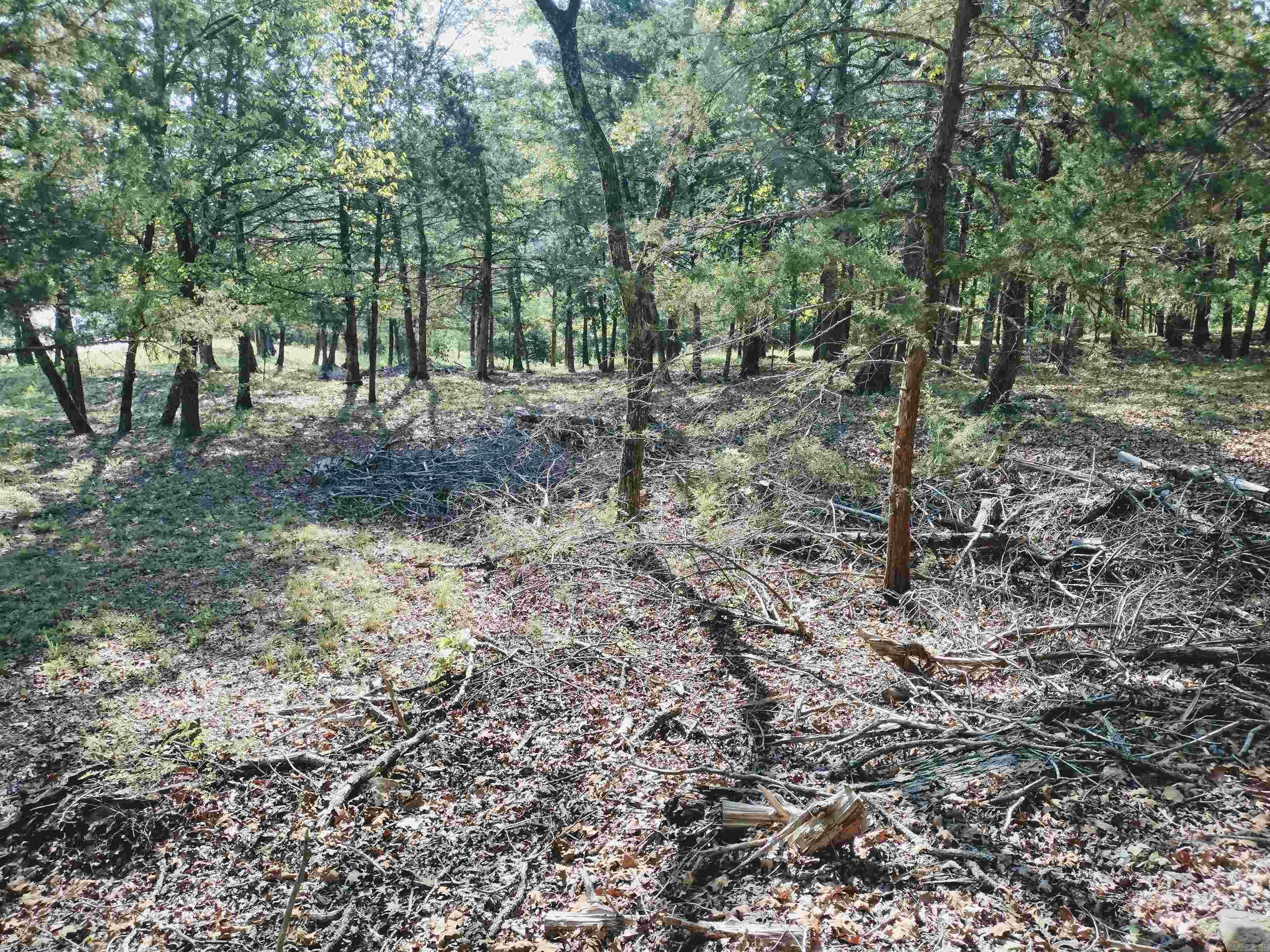 144 Cow Mountain Rd Property Photo 38