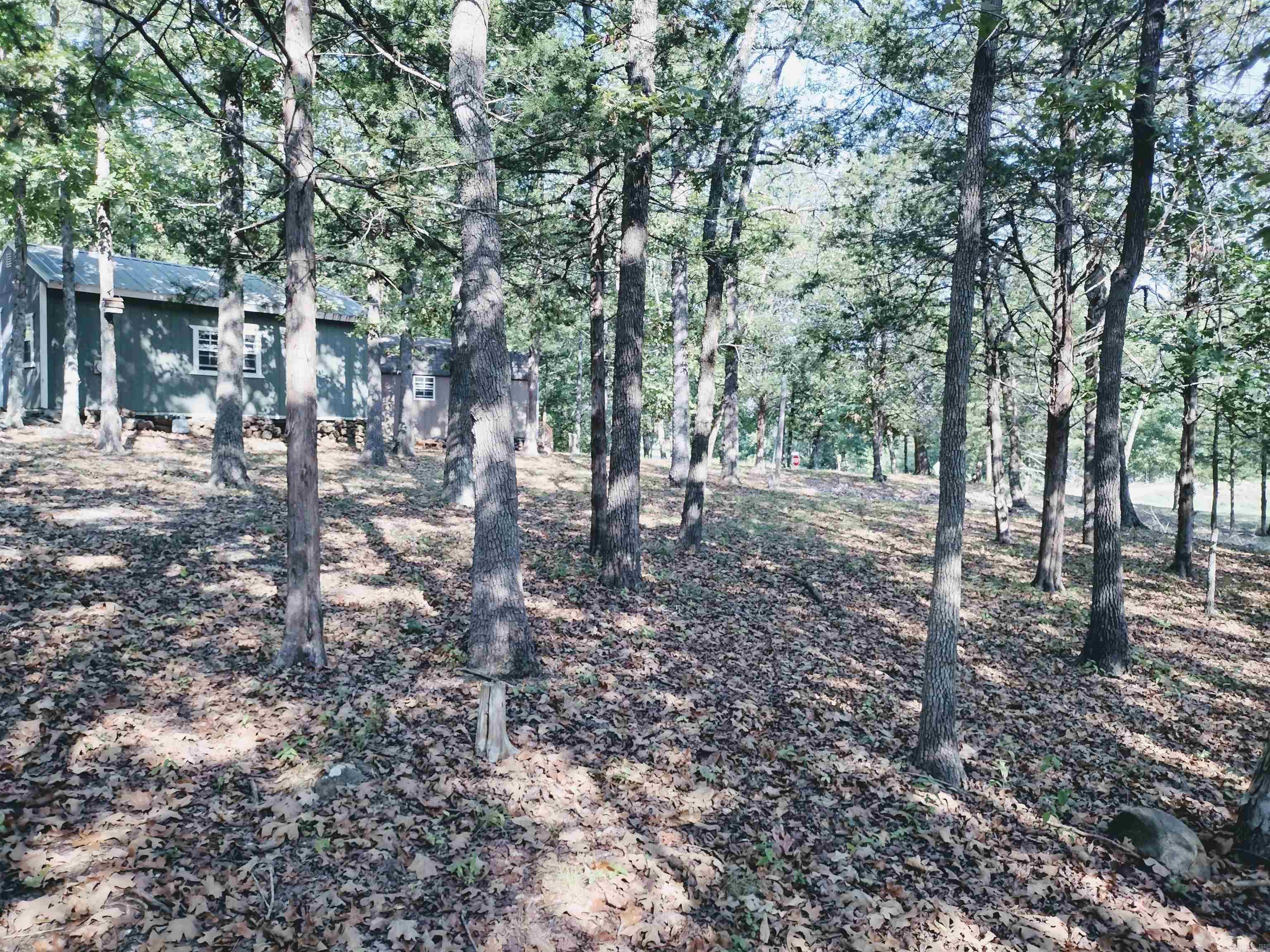 144 Cow Mountain Rd Property Photo 43