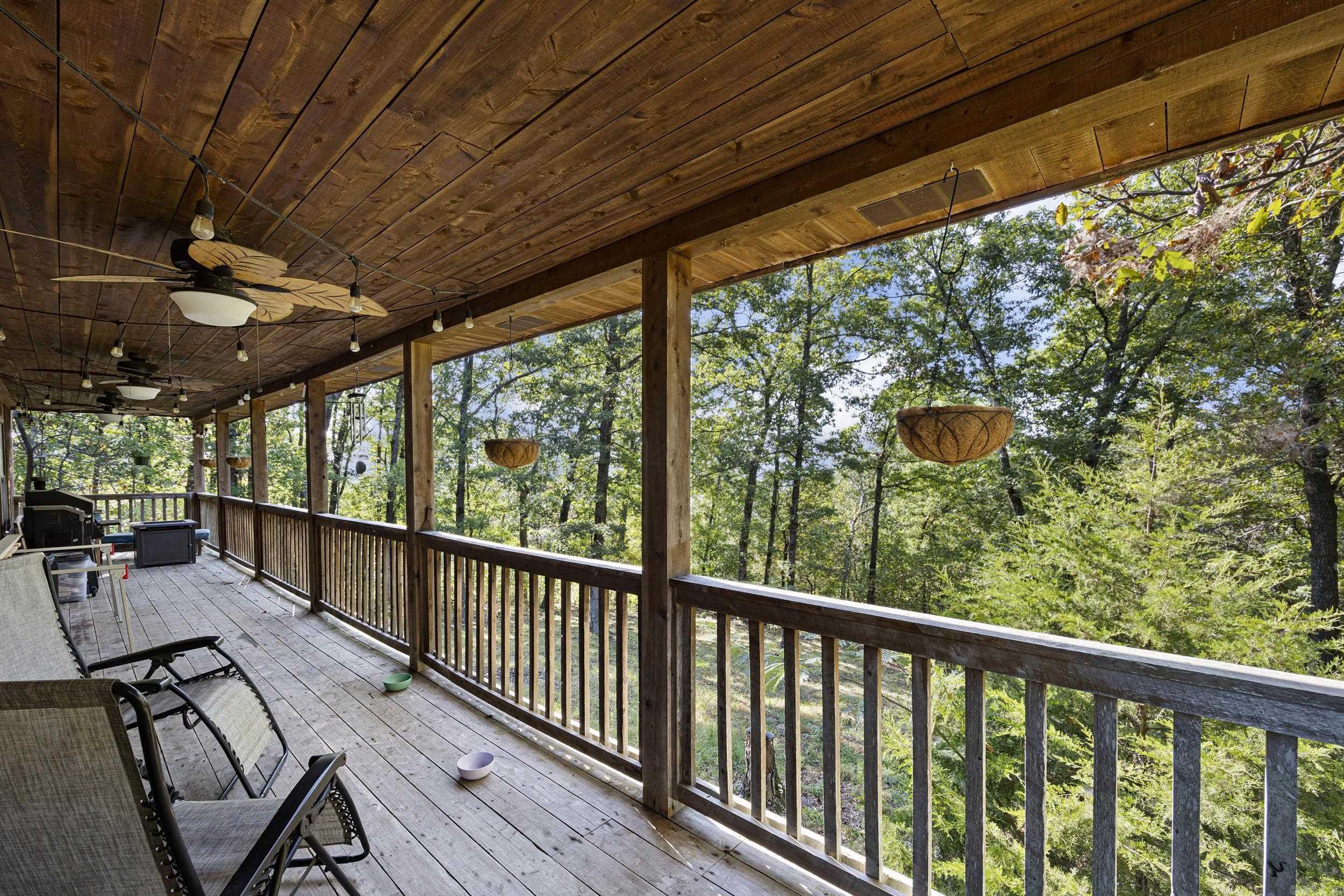 20785 Hwy 21 Property Photo 33
