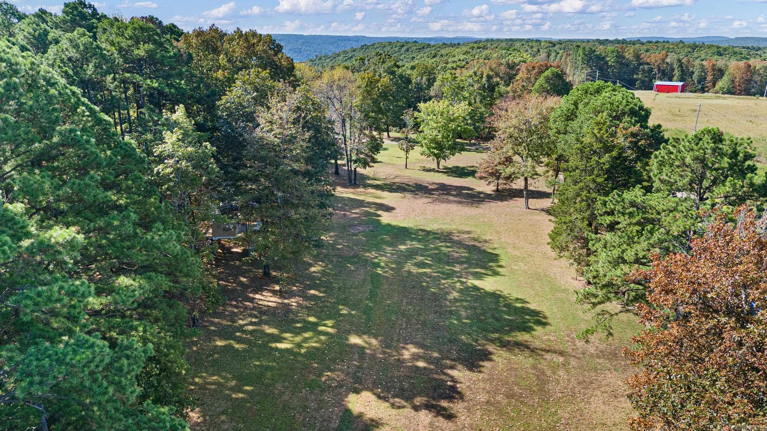 20785 Hwy 21 Property Photo 41