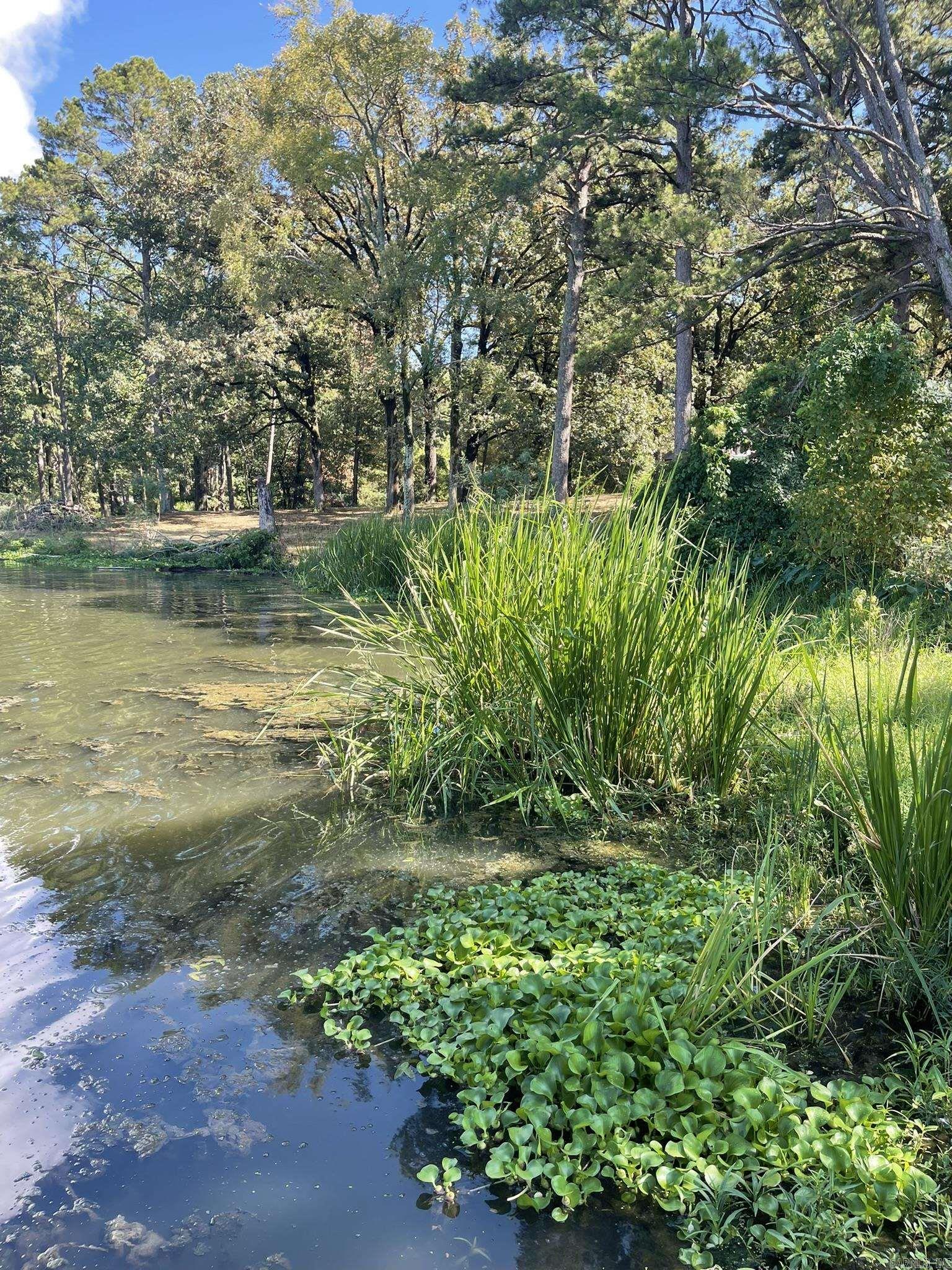 350 Round Mountain Lane Property Photo 16