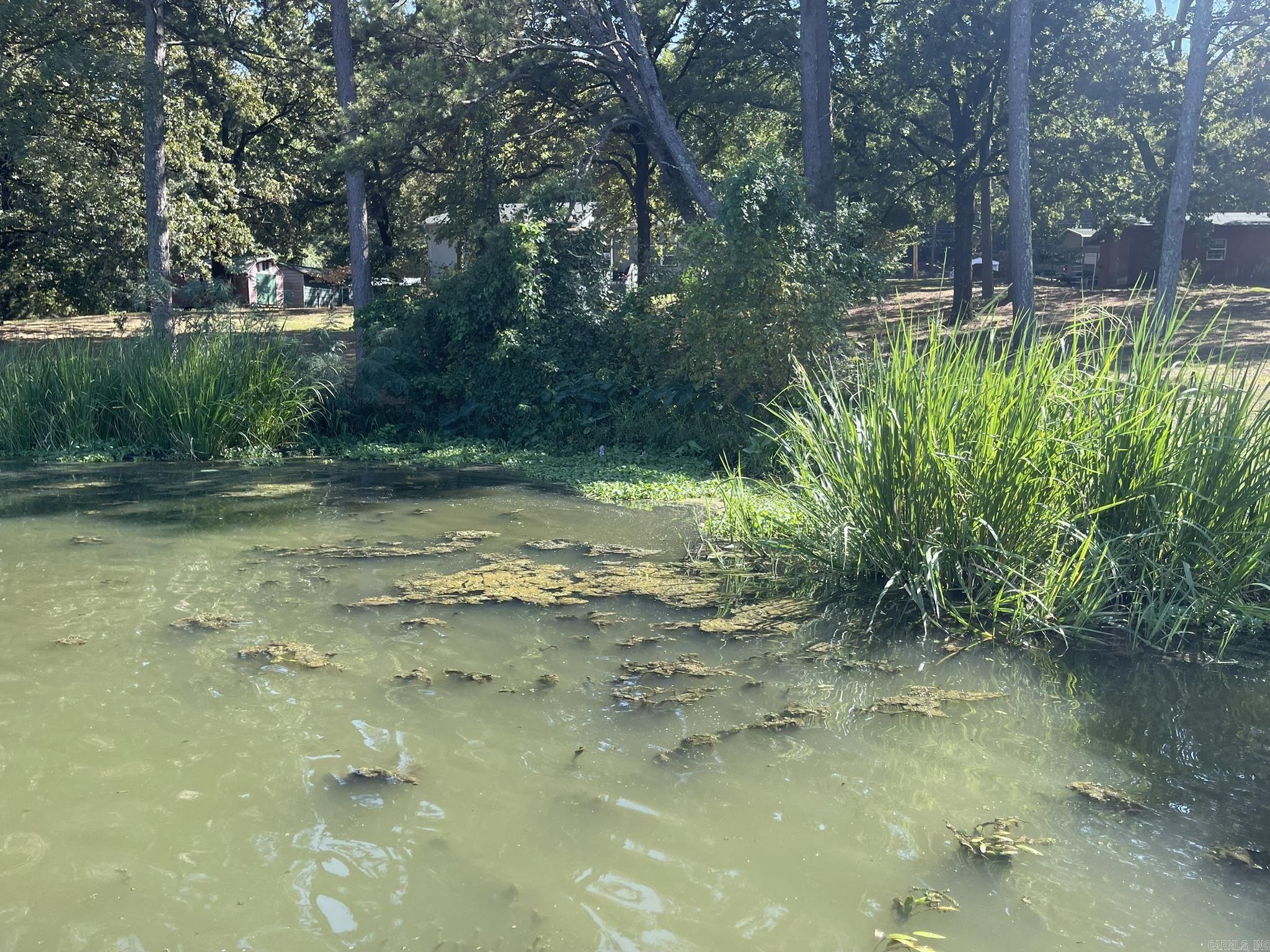 350 Round Mountain Lane Property Photo 18