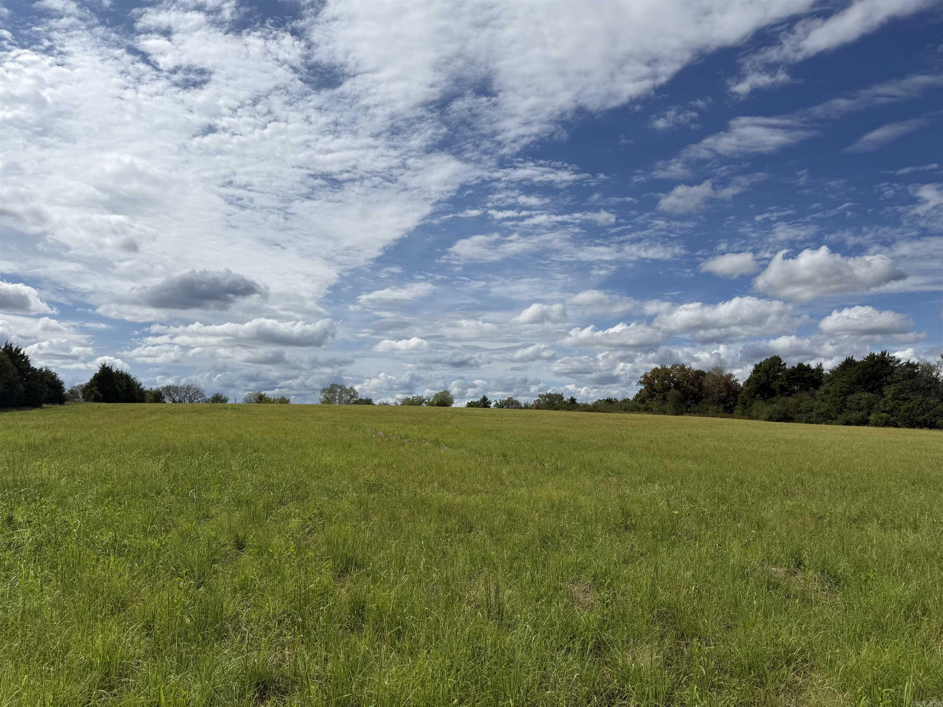 234 Bliss Road Property Photo 4