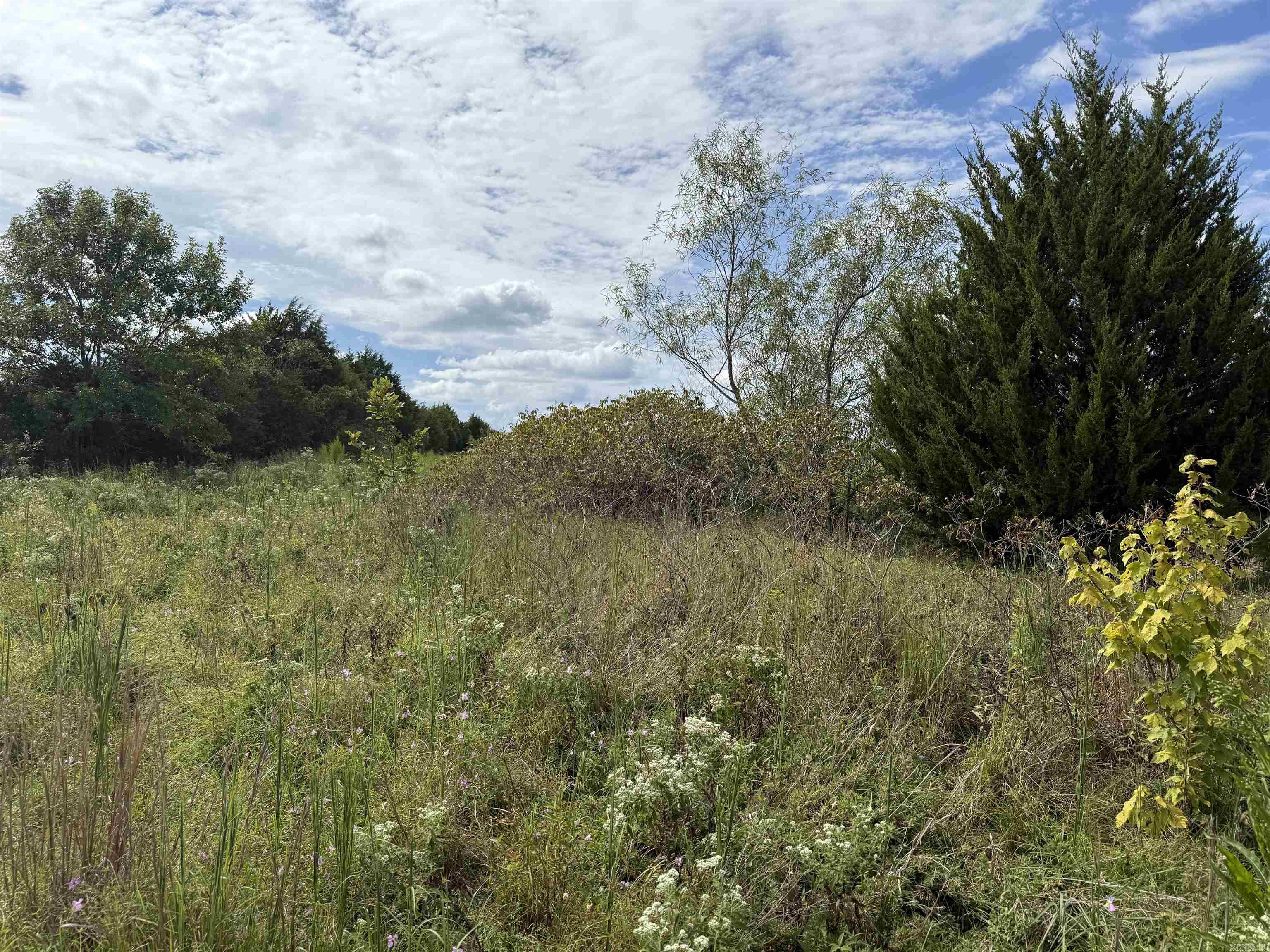 234 Bliss Road Property Photo 8