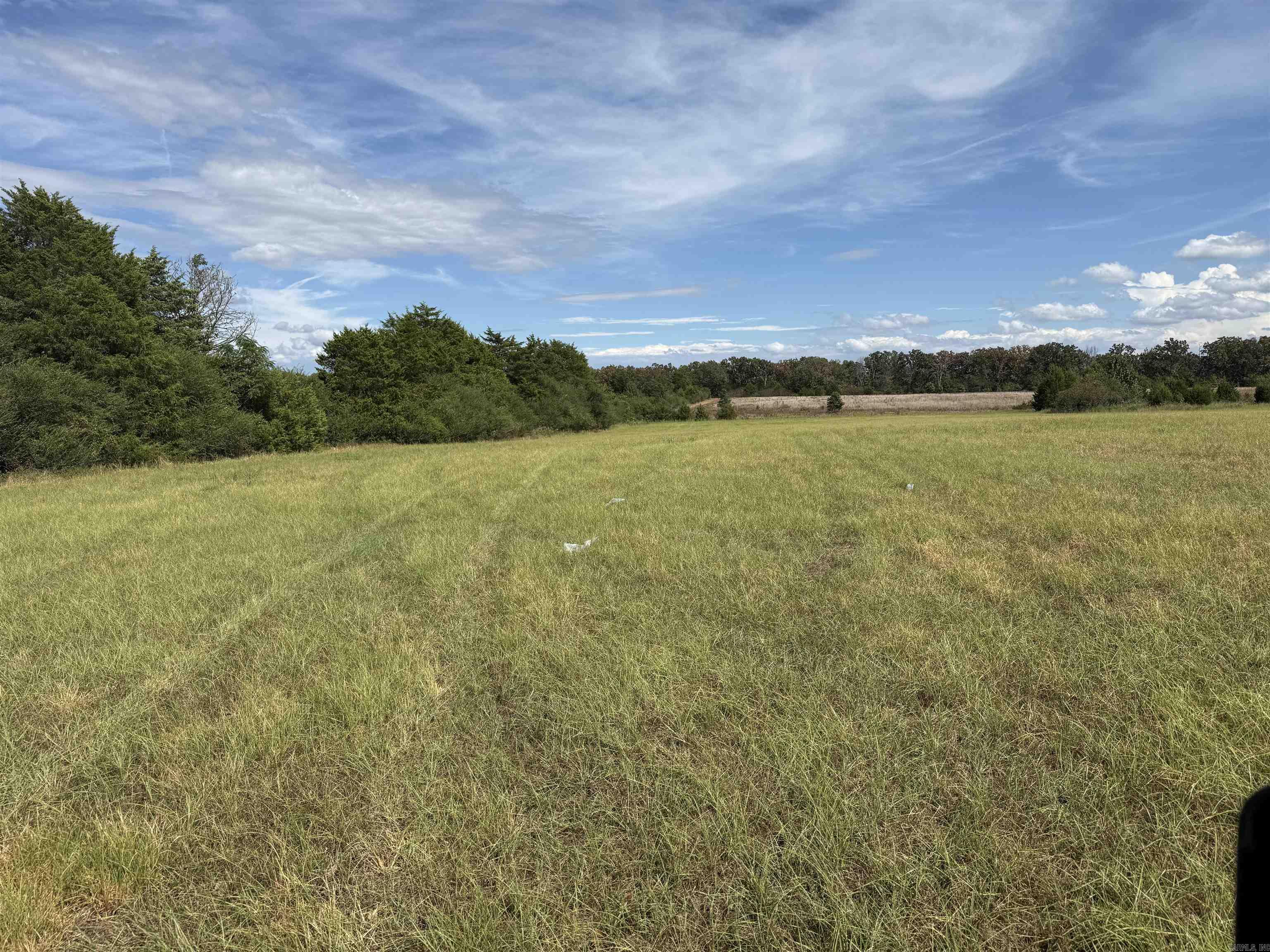 234 Bliss Road Property Photo 11