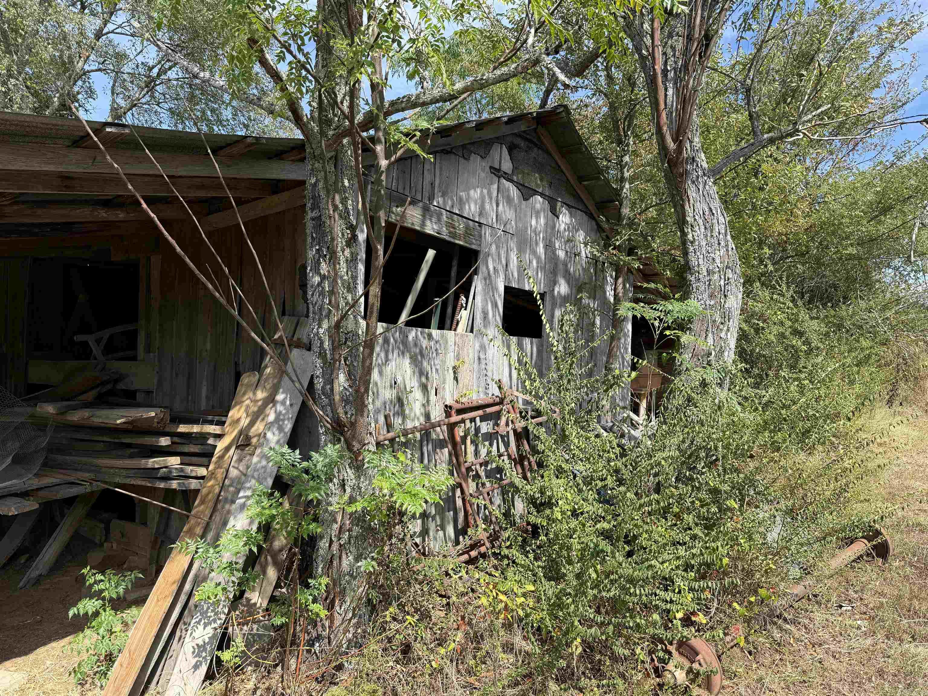 234 Bliss Road Property Photo 22