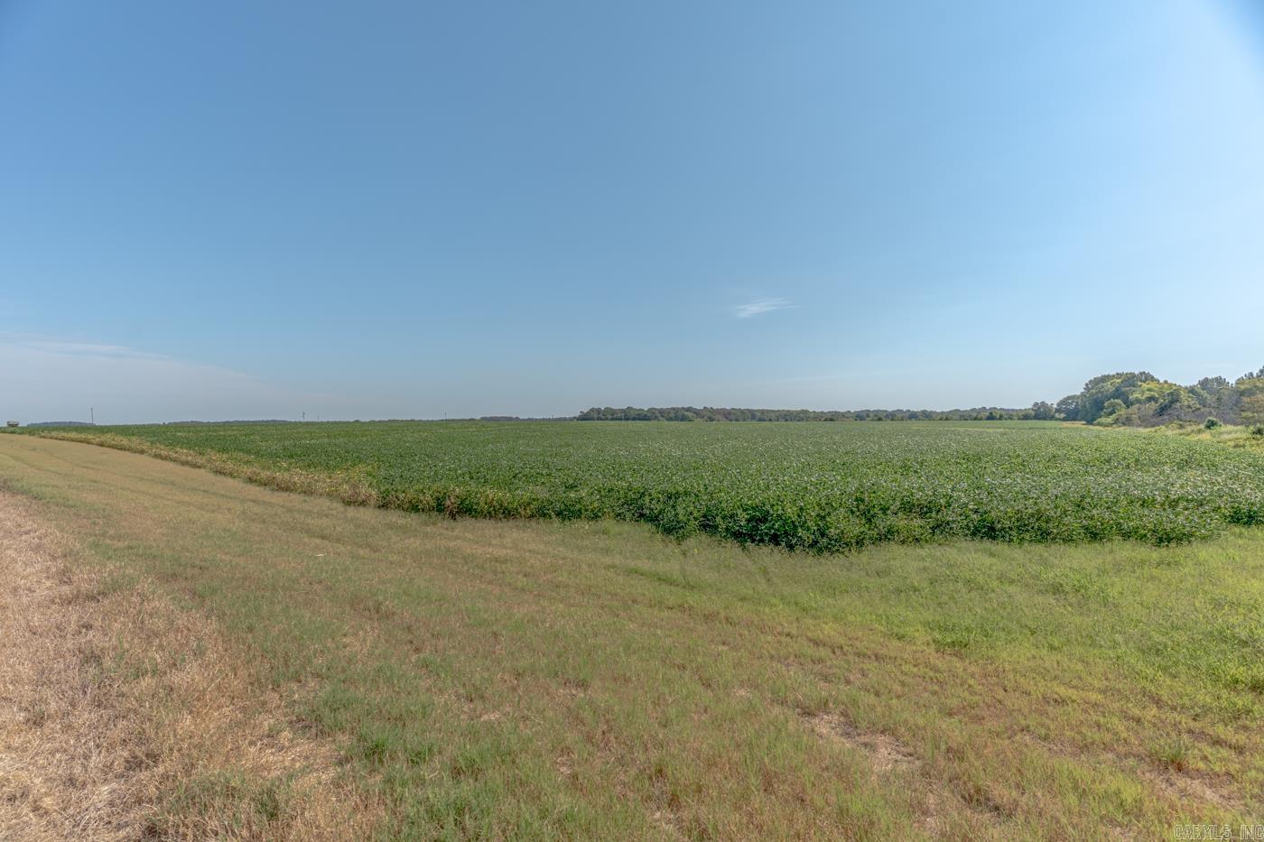 Tbd Cr 244 Property Photo 2