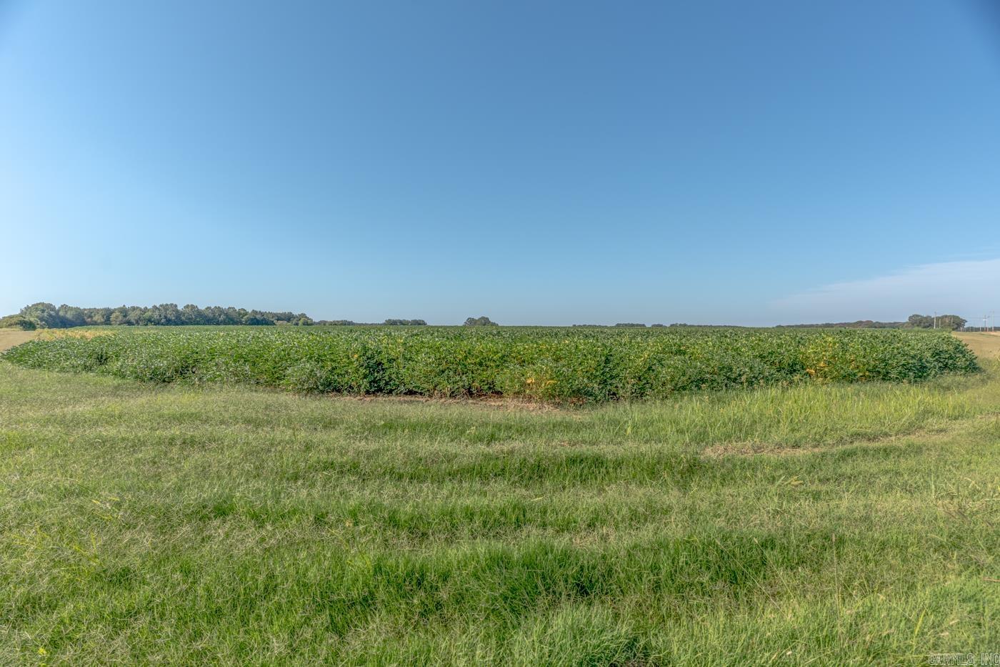Tbd Cr 244 Property Photo 3