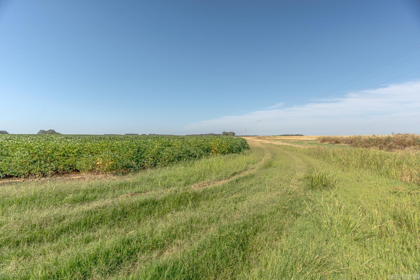 Tbd Cr 244 Property Photo 5