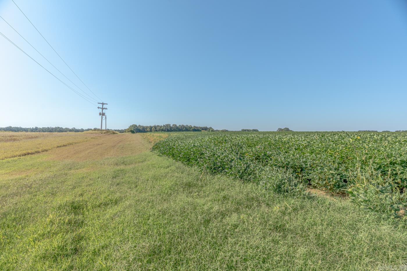 Tbd Cr 244 Property Photo 6