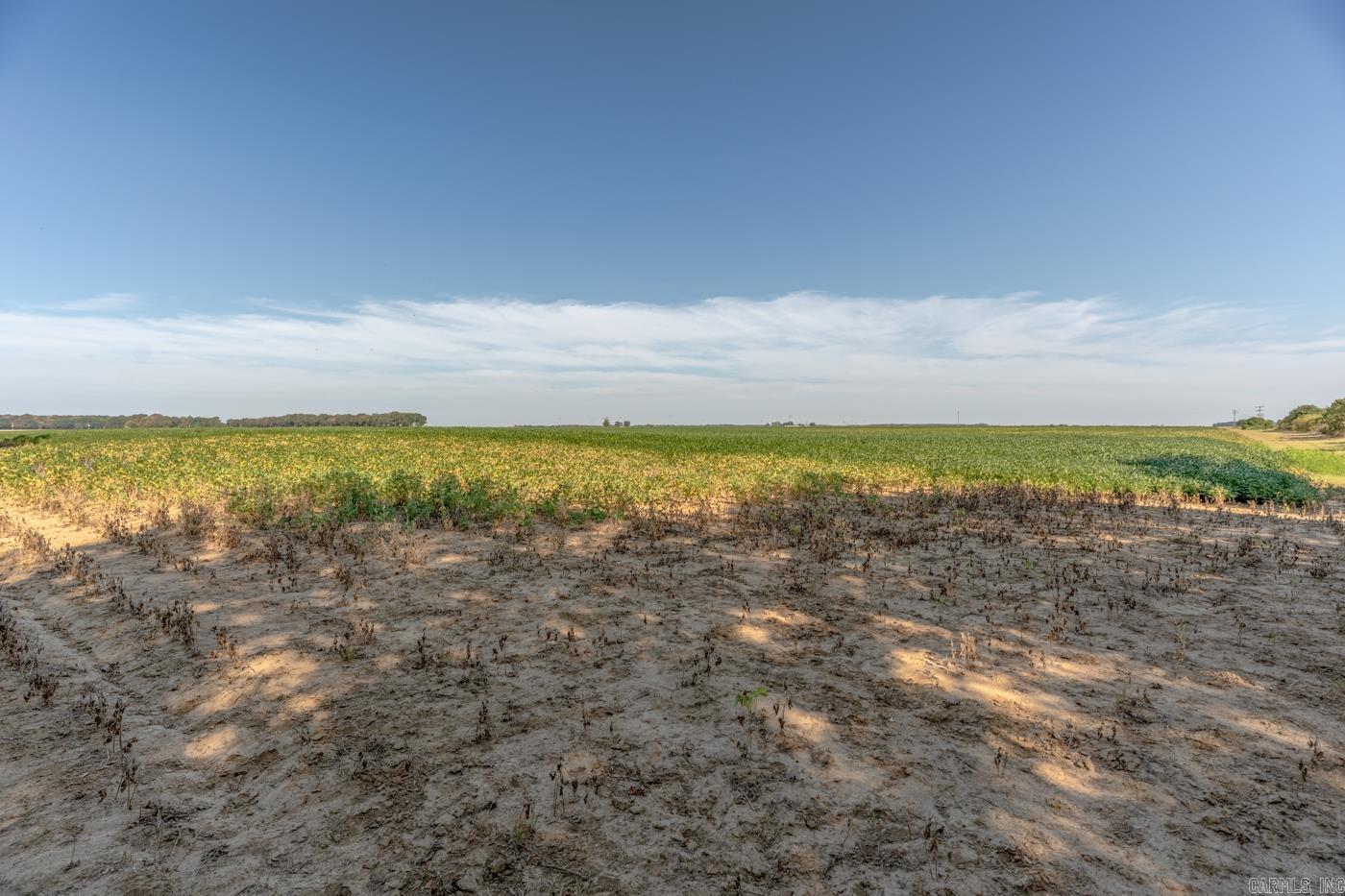 Tbd Cr 244 Property Photo 8