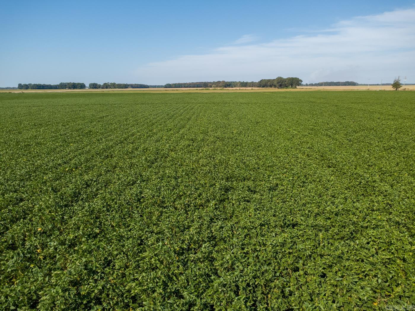 Tbd Cr 244 Property Photo 9
