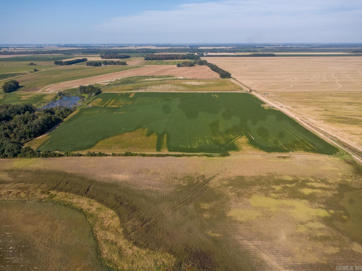 Tbd Cr 244 Property Photo 19
