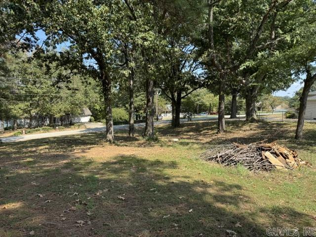 1704 Maple Cove Property Photo 30