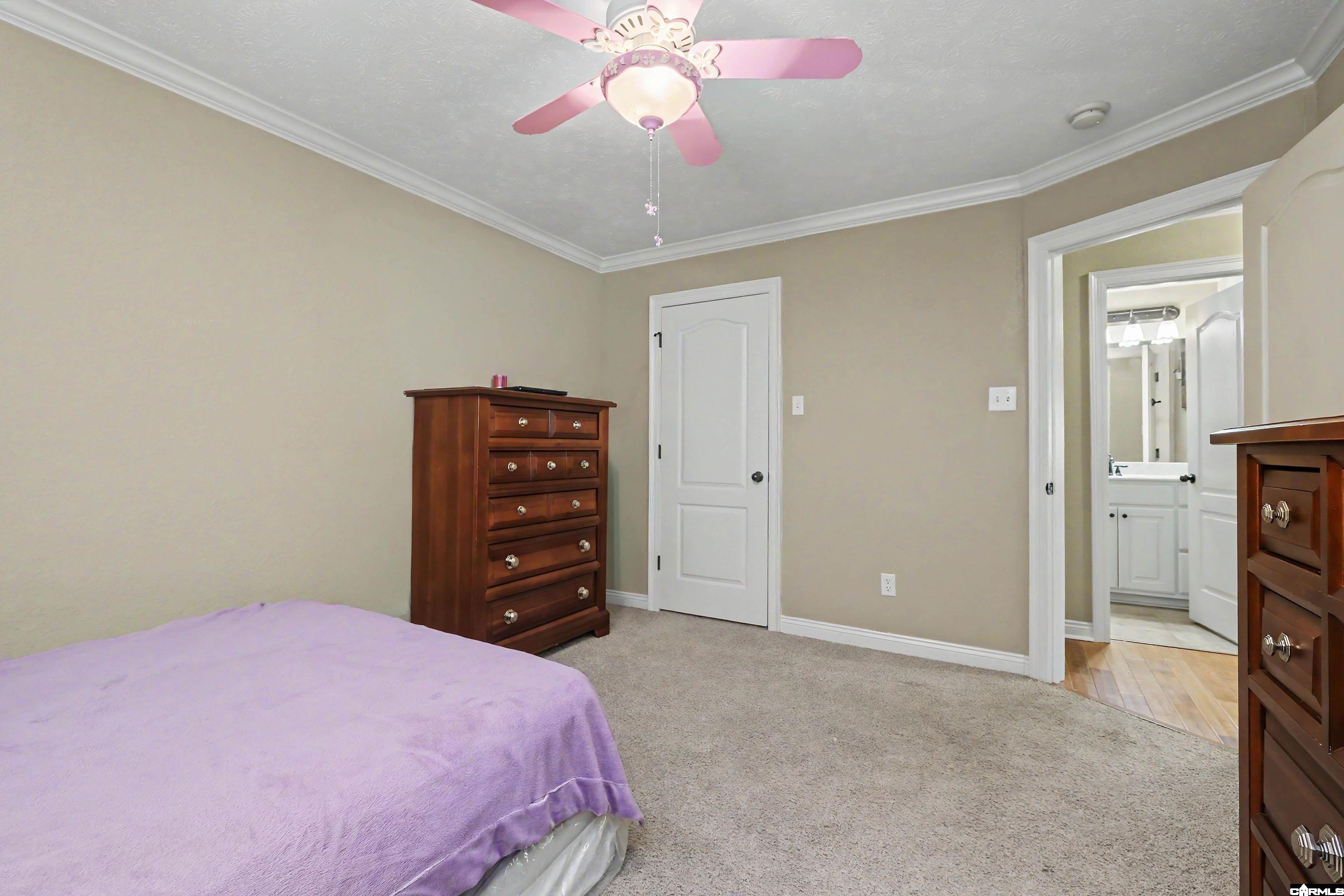 2808 Mcneill Cove Property Photo 23