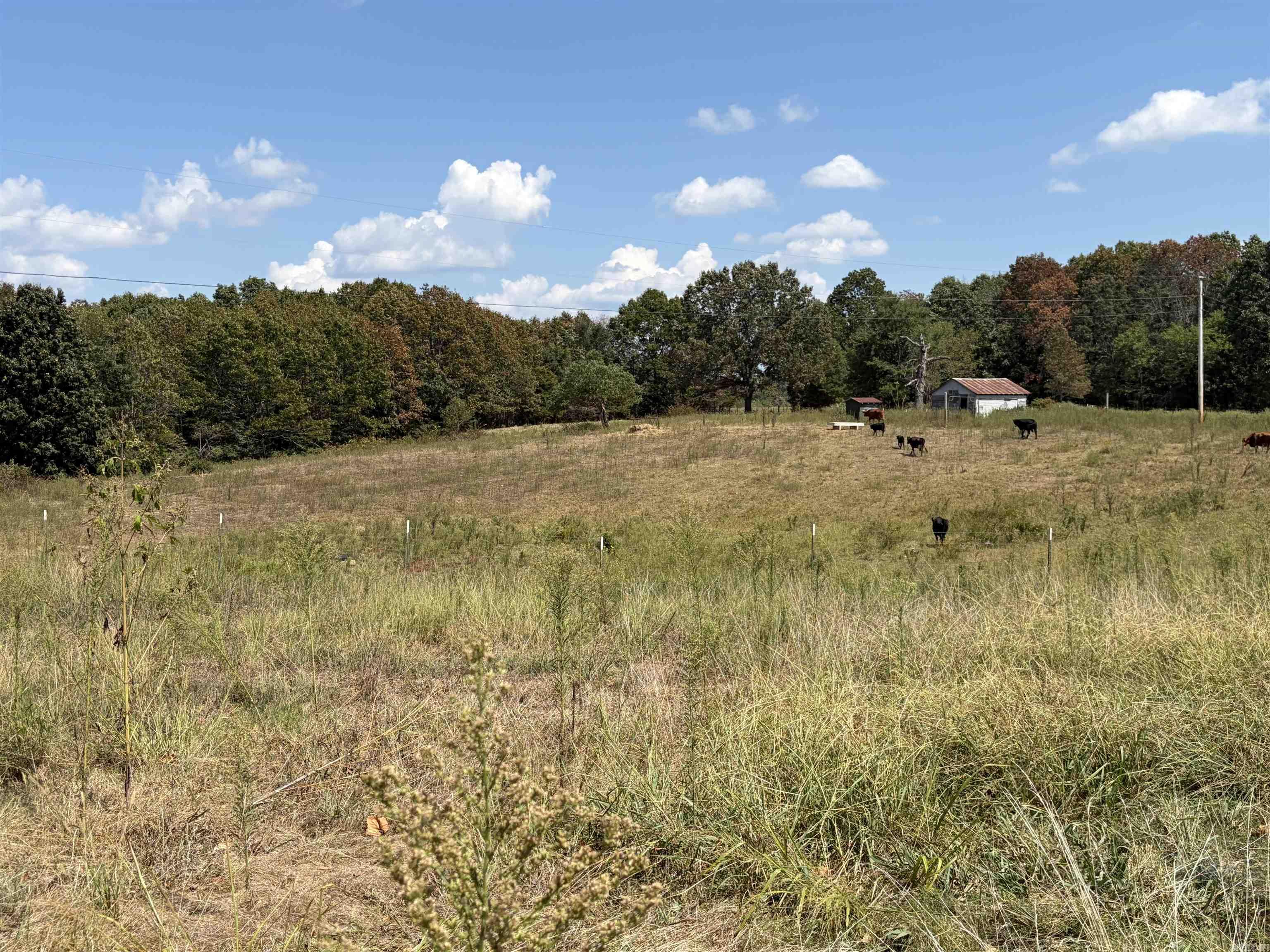 320 Stateline Rd Property Photo 4