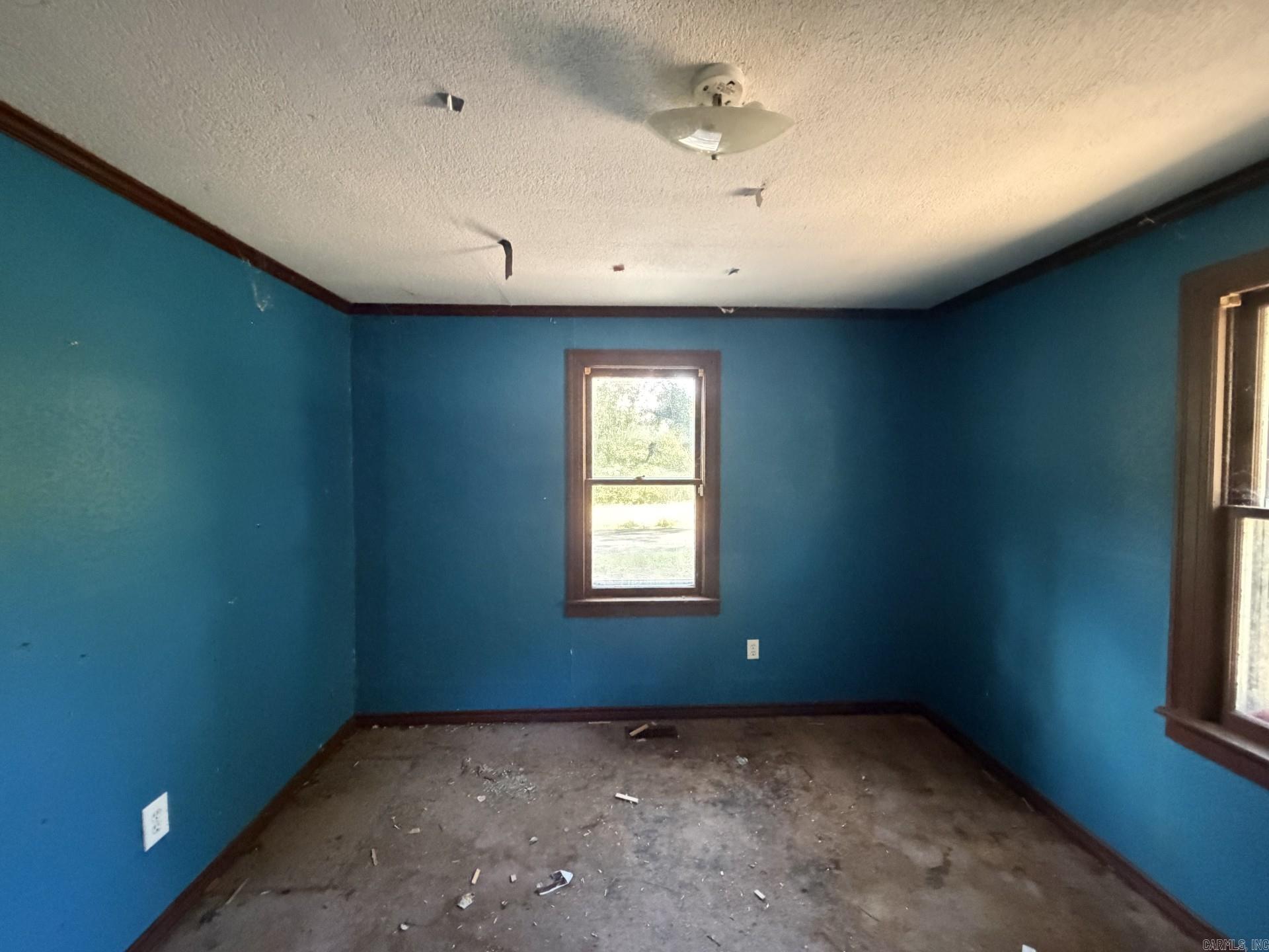 903 Owen Street Property Photo 5