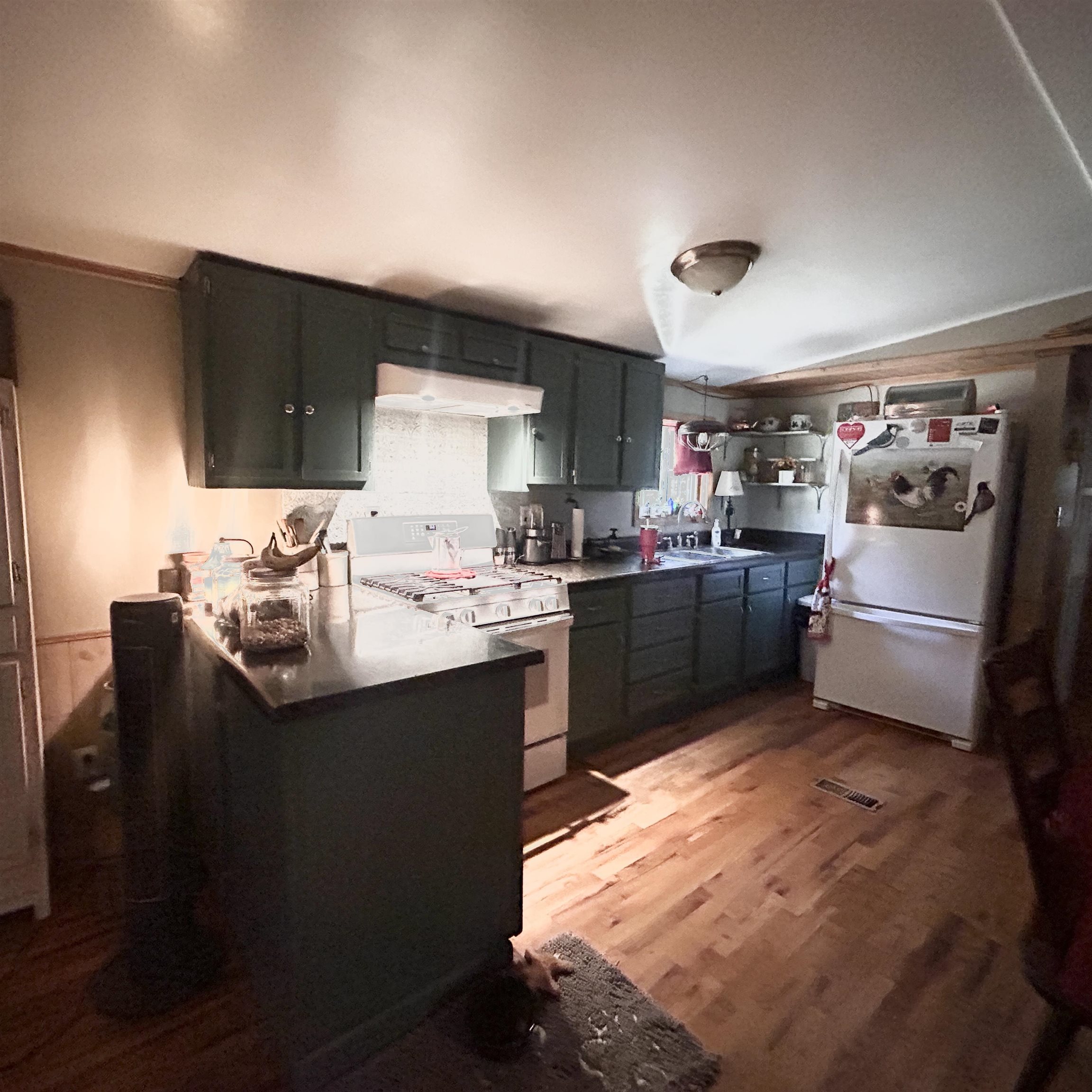 509 River Road Property Photo 9