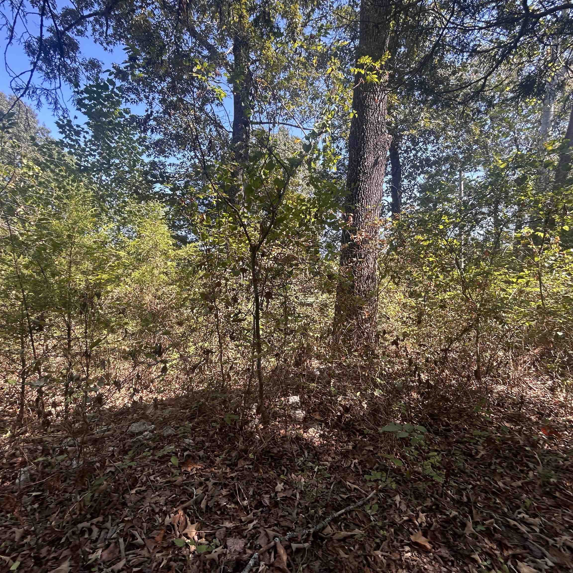 509 River Road Property Photo 22